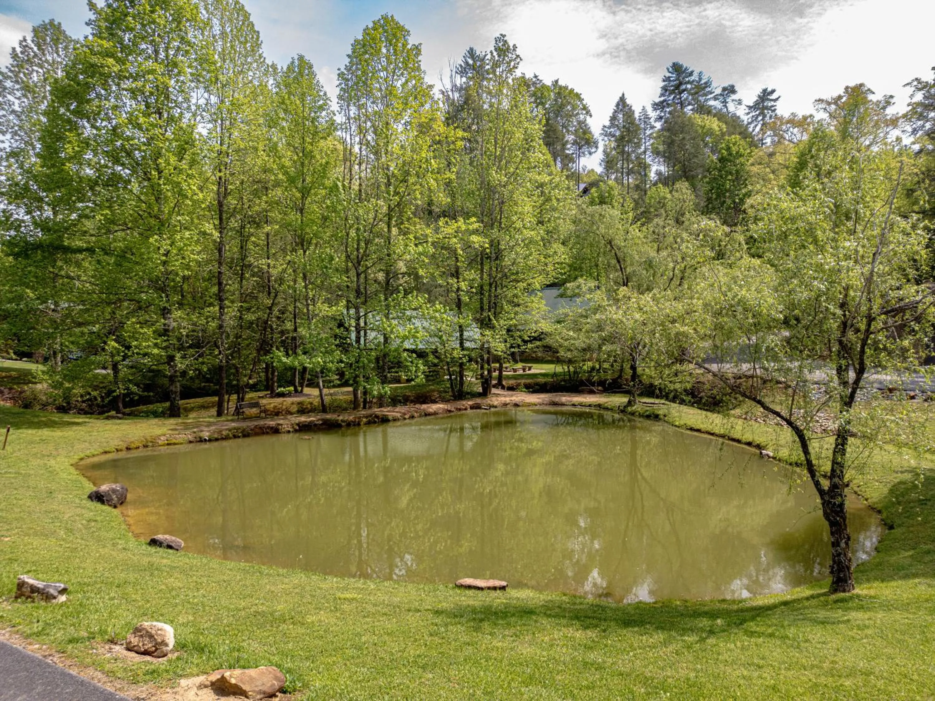 Fishing in Love Me Tender Studio Cabin
