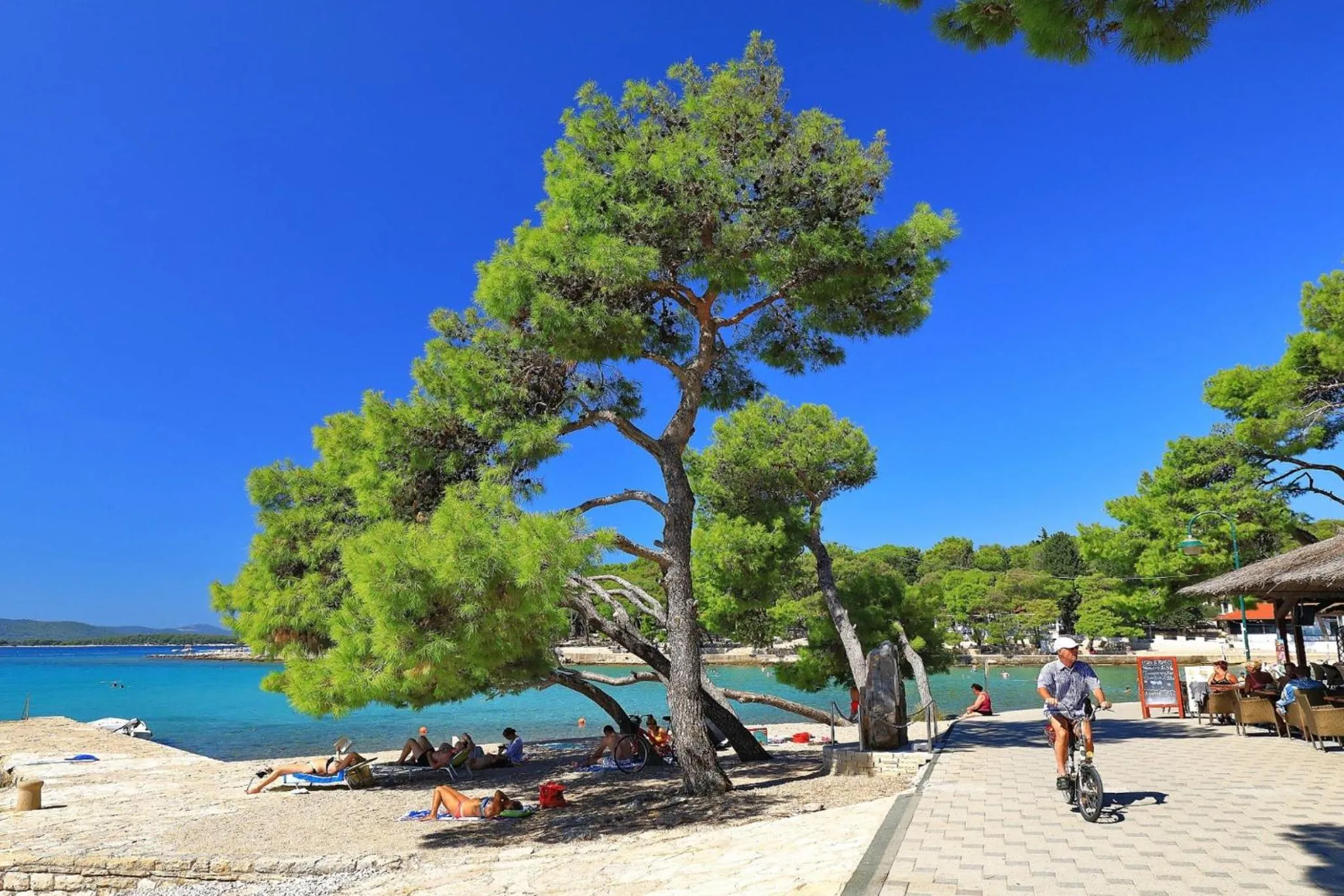 Day in Mobile Home Saky, Biograd na Moru