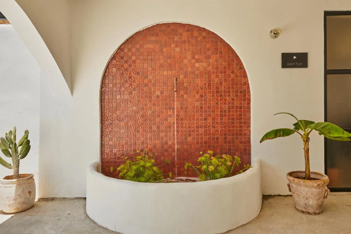 Garden in DUNA by DW