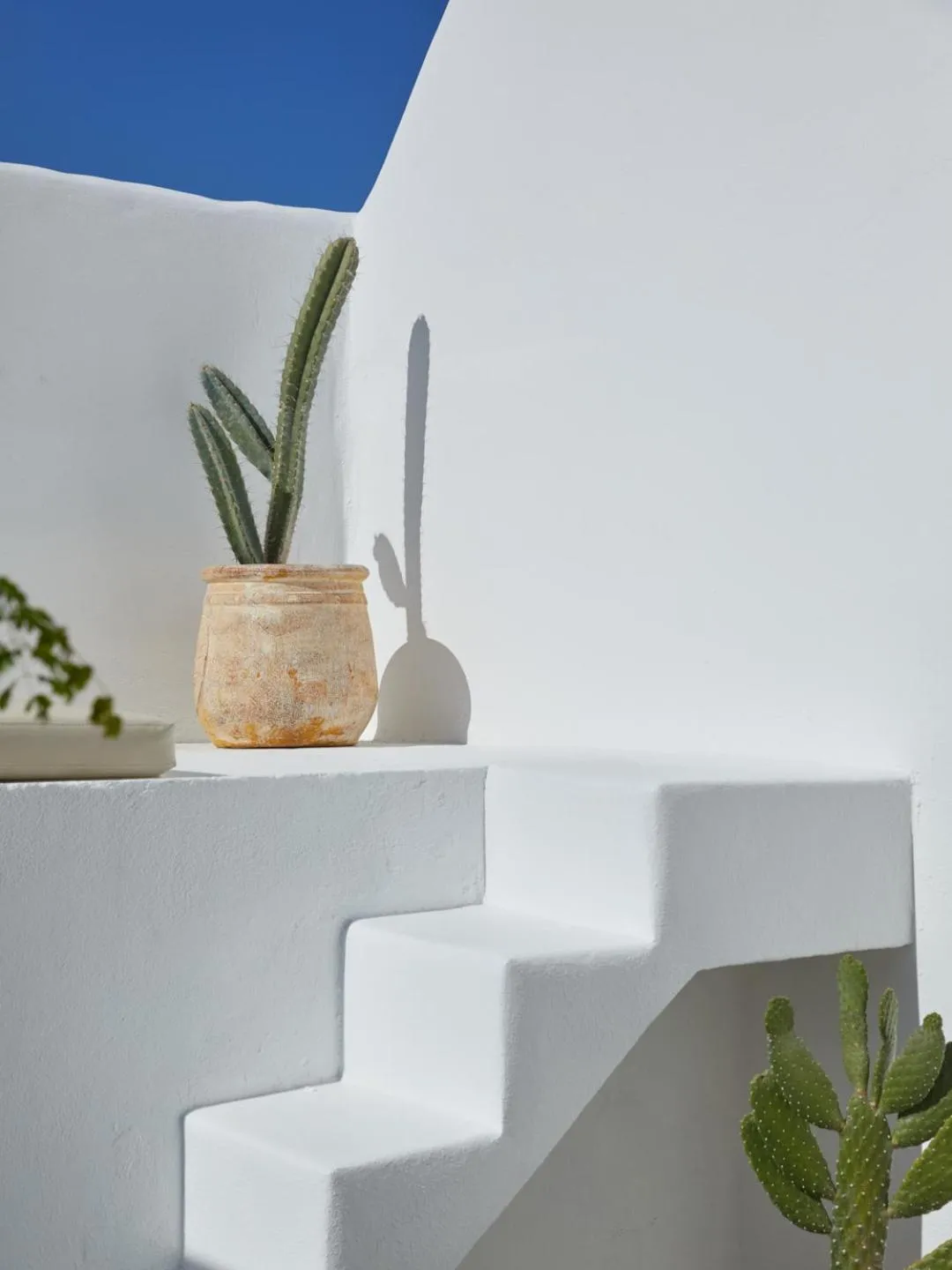 Decorative detail in DUNA by DW