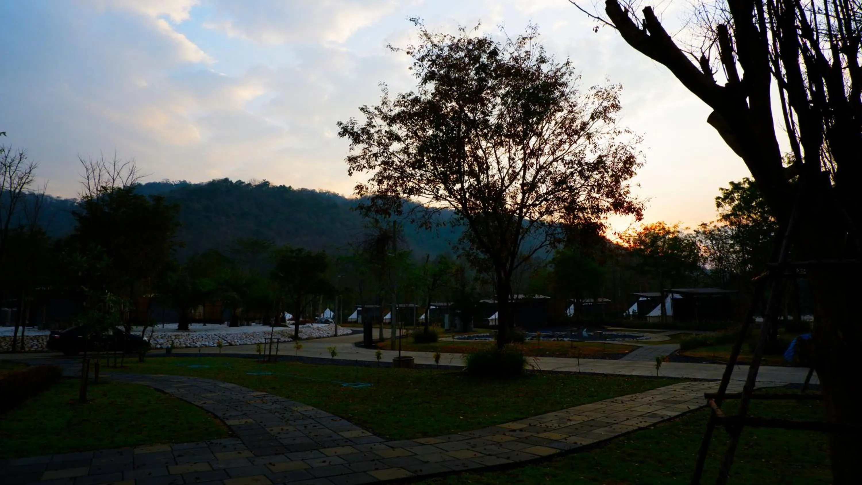 The Wild Khao Yai