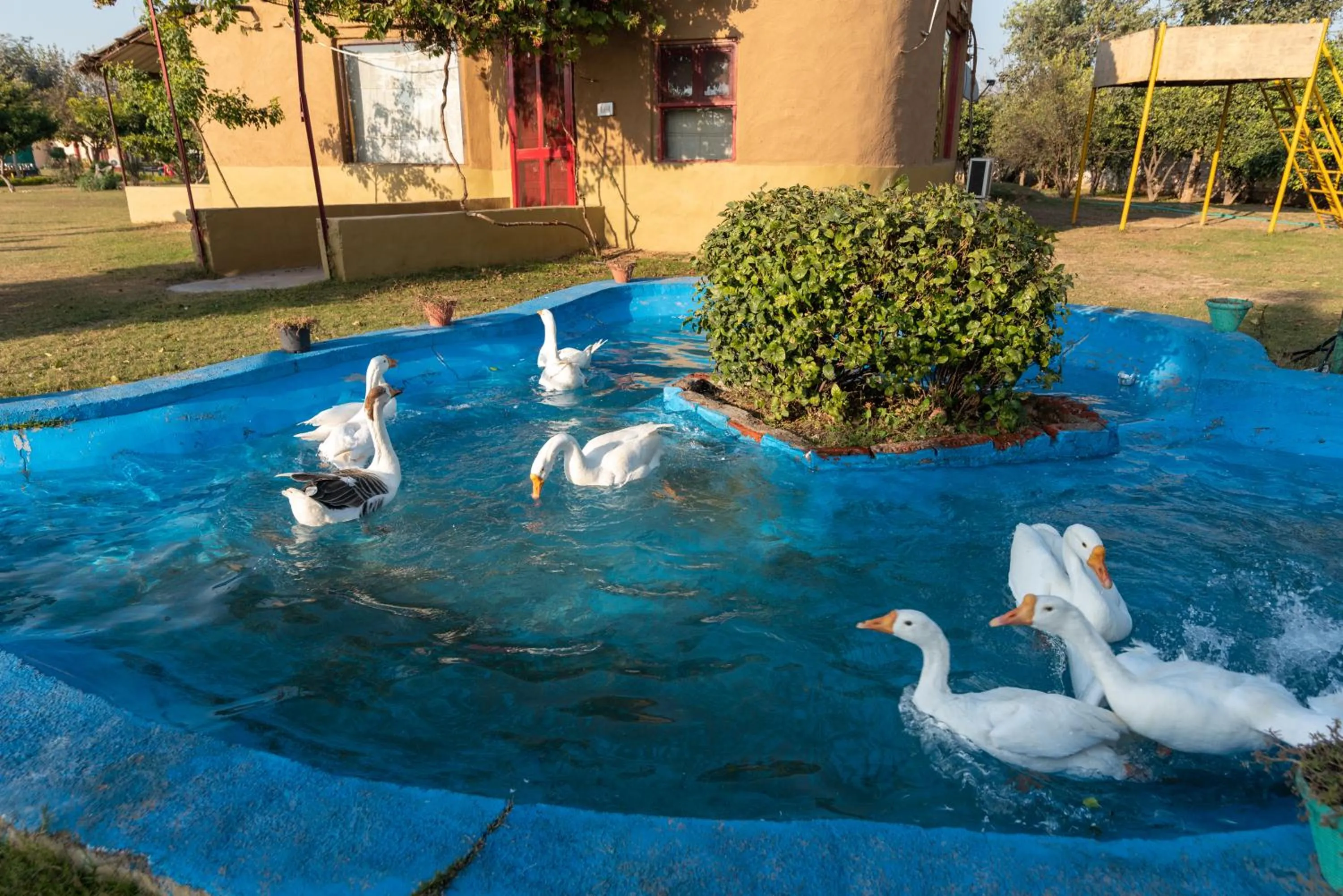 Natural landscape in Arise Ethnic Village Resort - Manesar Bilaspur
