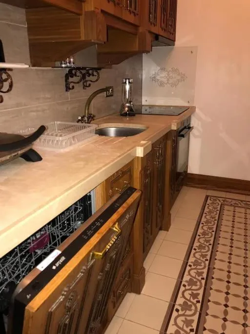 Kitchen or kitchenette in Aslan Residence