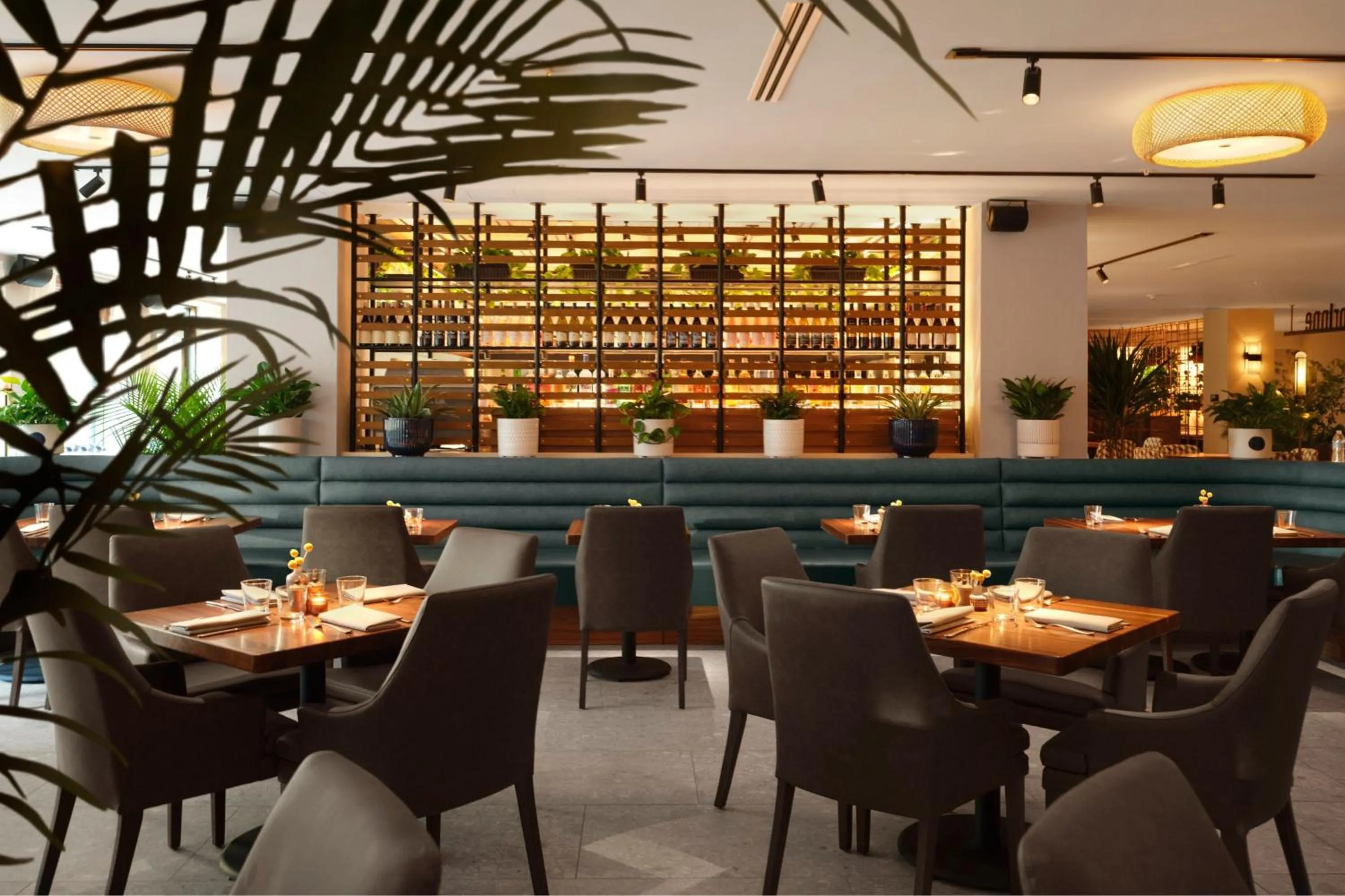 Restaurant/places to eat in Plaza San Antonio Hotel & Spa, Autograph Collection