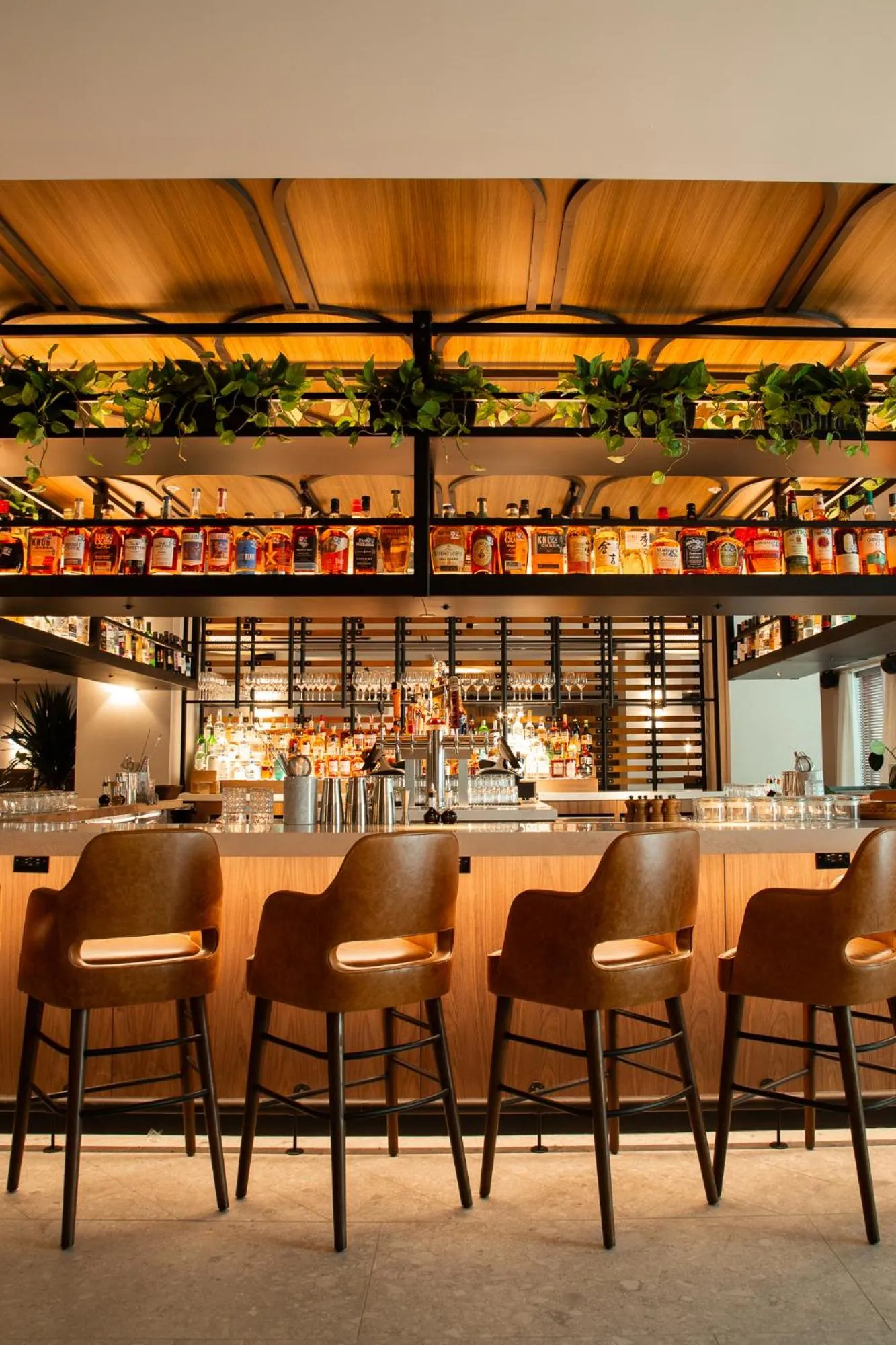 Restaurant/places to eat in Plaza San Antonio Hotel & Spa, Autograph Collection