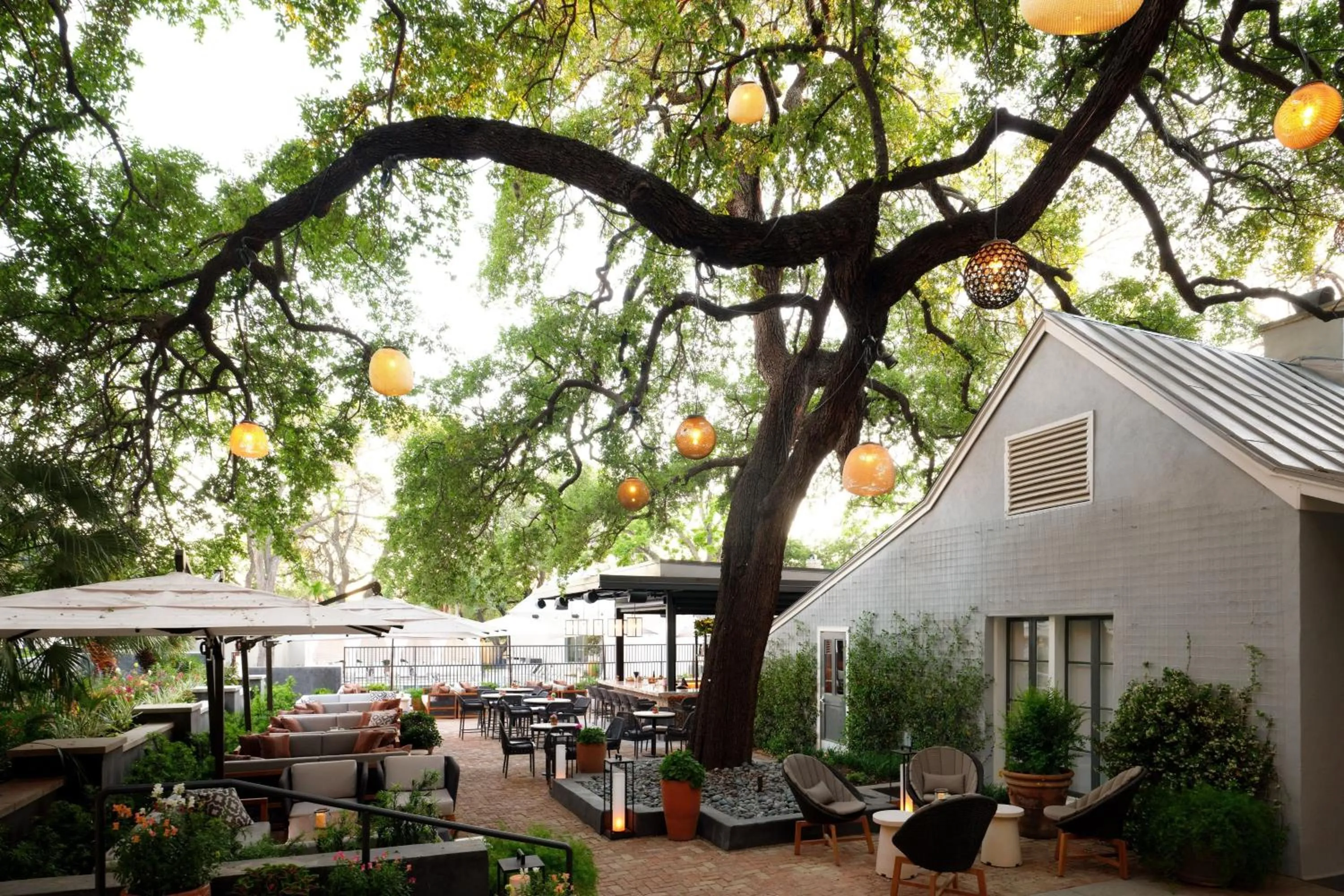 Lounge or bar in Plaza San Antonio Hotel & Spa, Autograph Collection