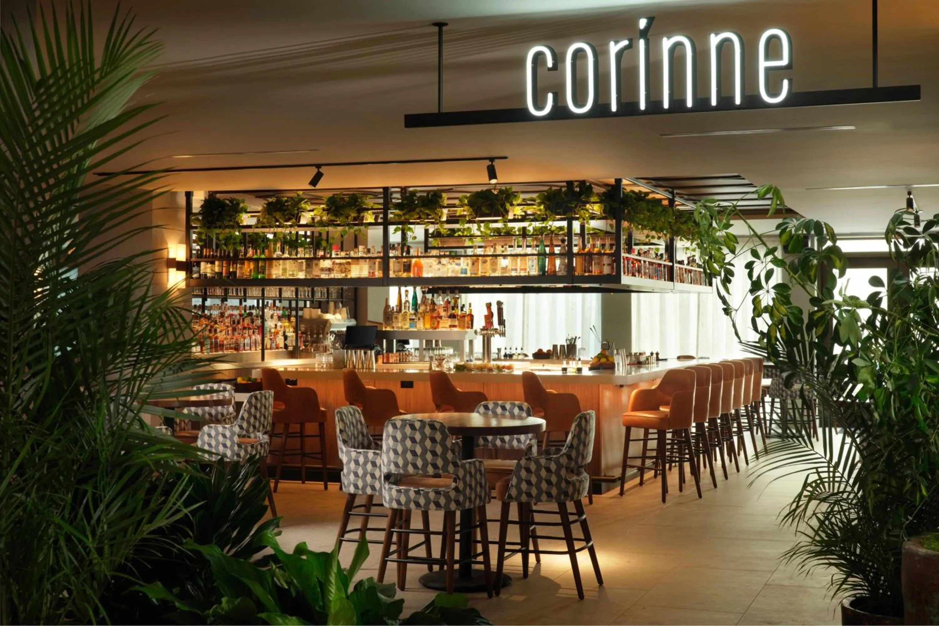 Restaurant/places to eat in Plaza San Antonio Hotel & Spa, Autograph Collection