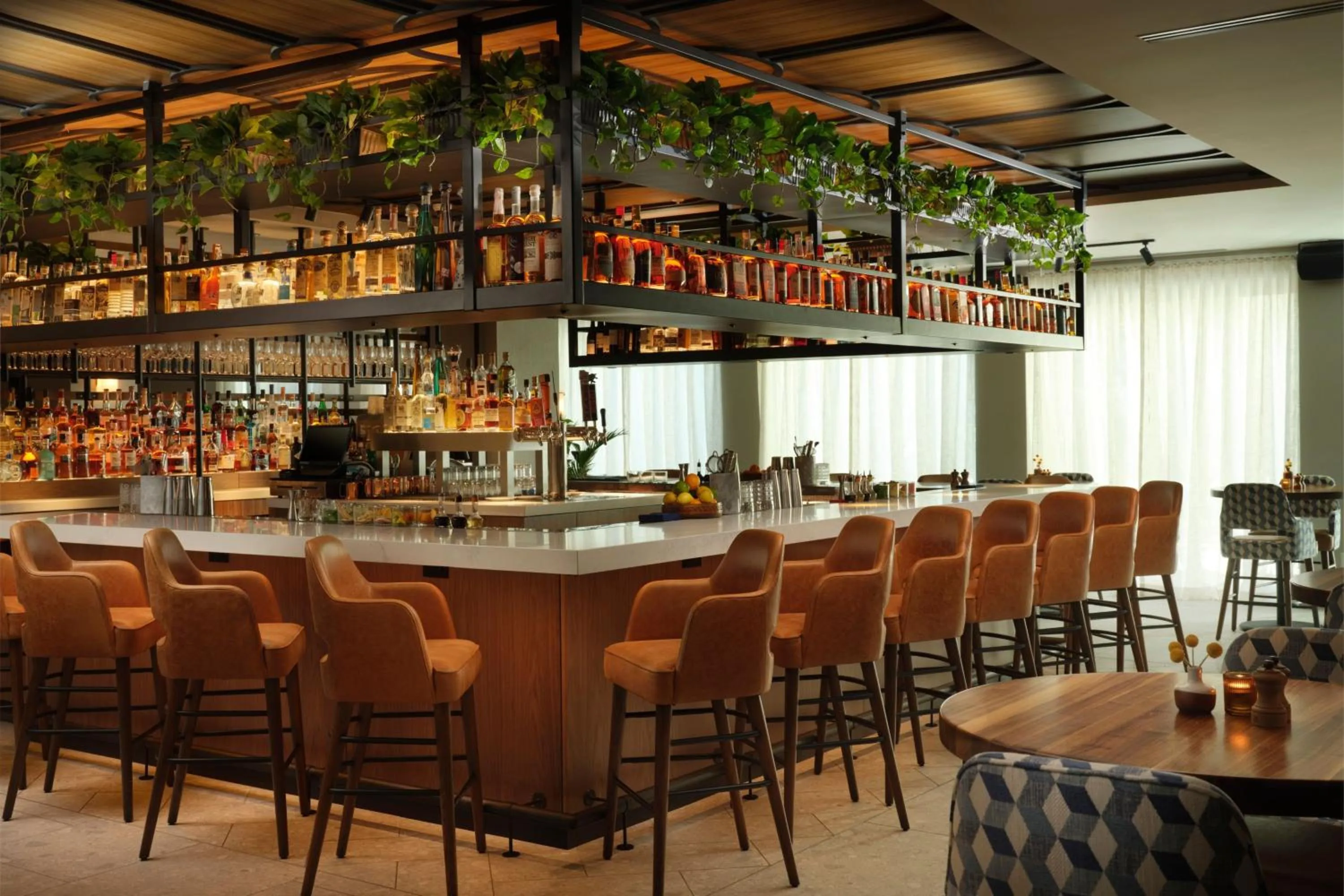 Lounge or bar in Plaza San Antonio Hotel & Spa, Autograph Collection