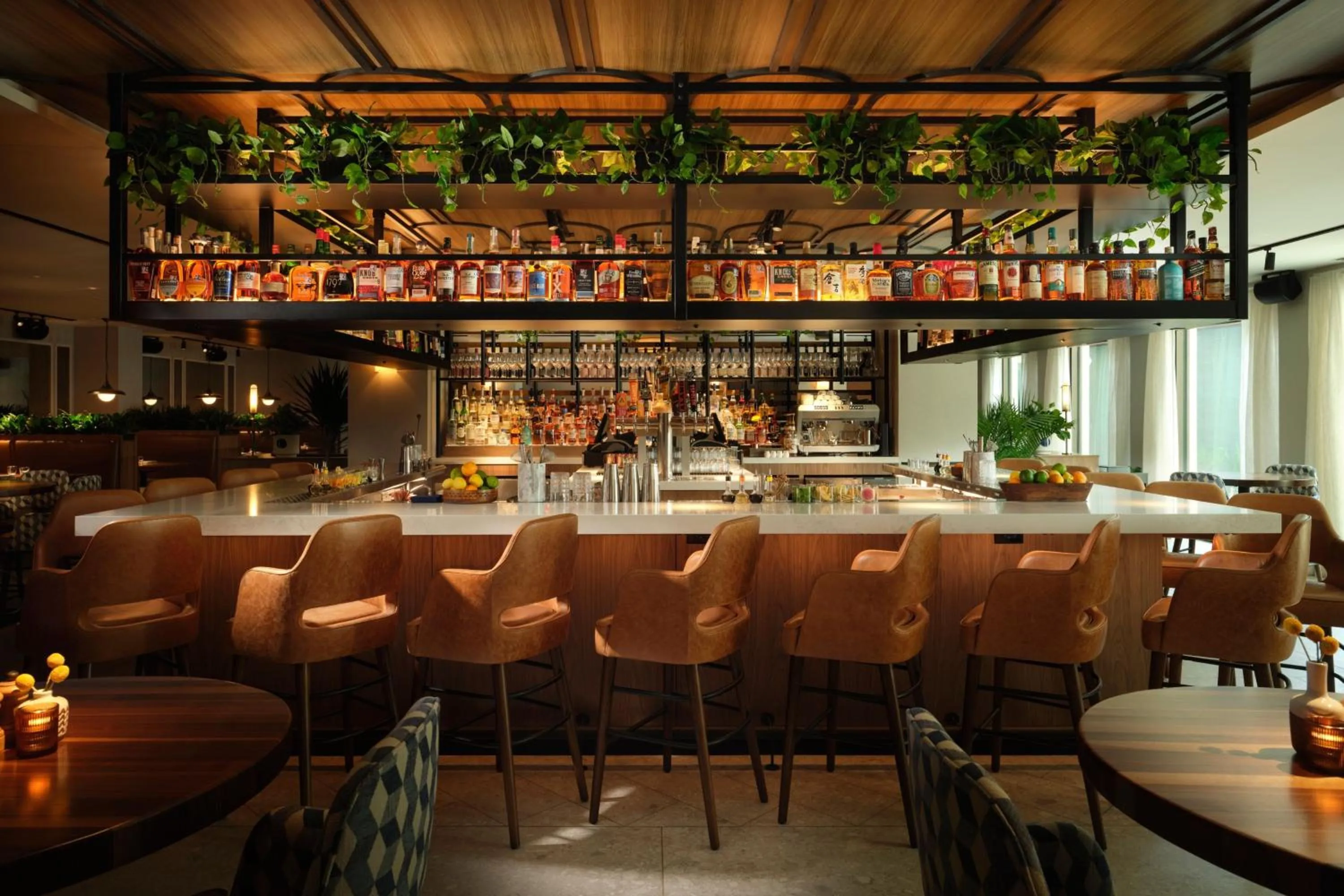 Lounge or bar in Plaza San Antonio Hotel & Spa, Autograph Collection