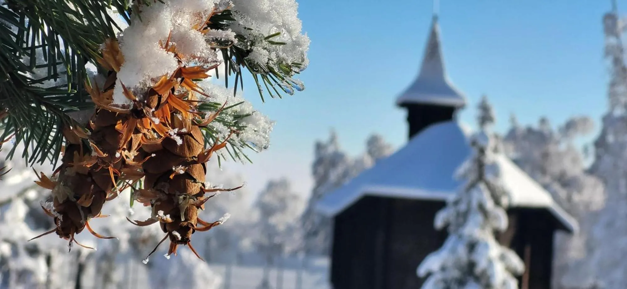 Neighbourhood in Vila Kollár Vysoké Tatry