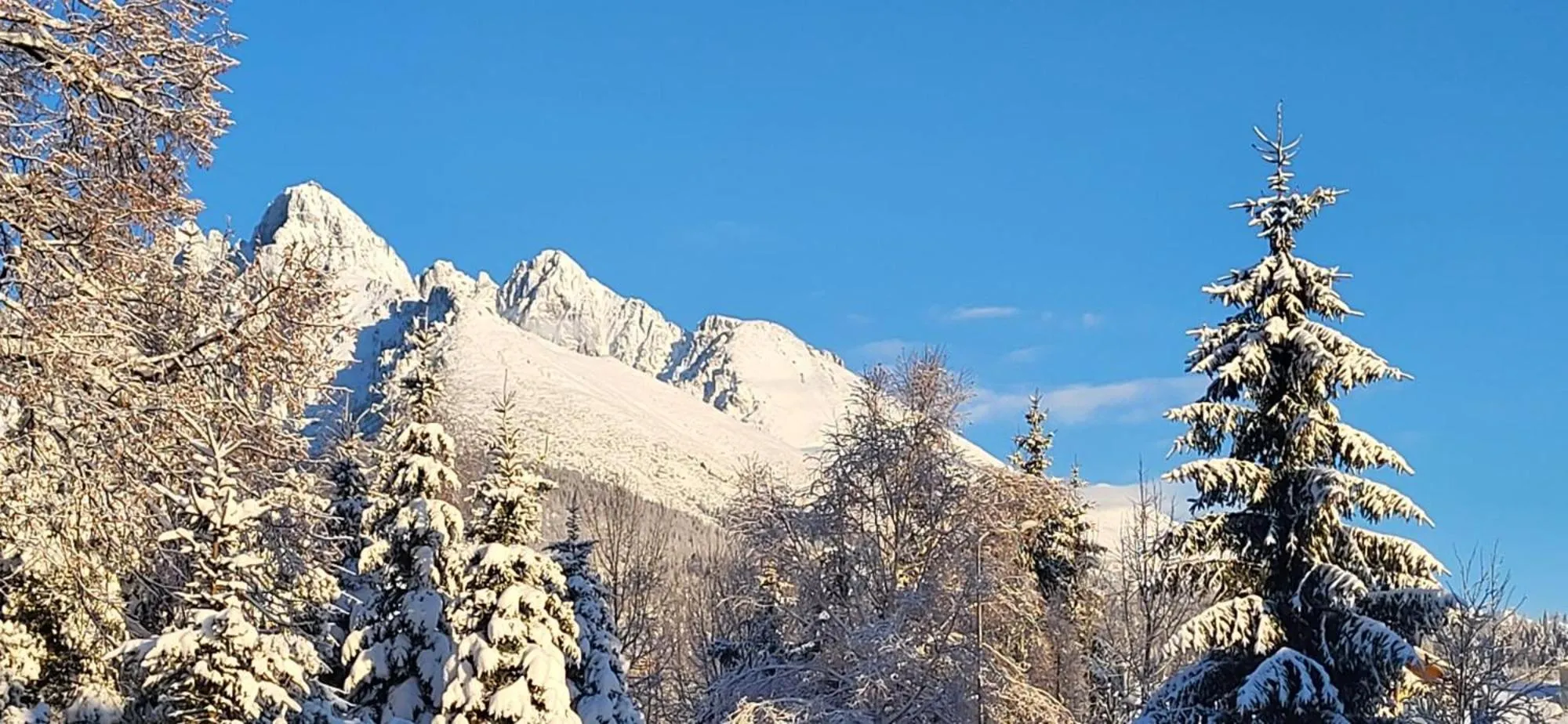 Neighbourhood in Vila Kollár Vysoké Tatry