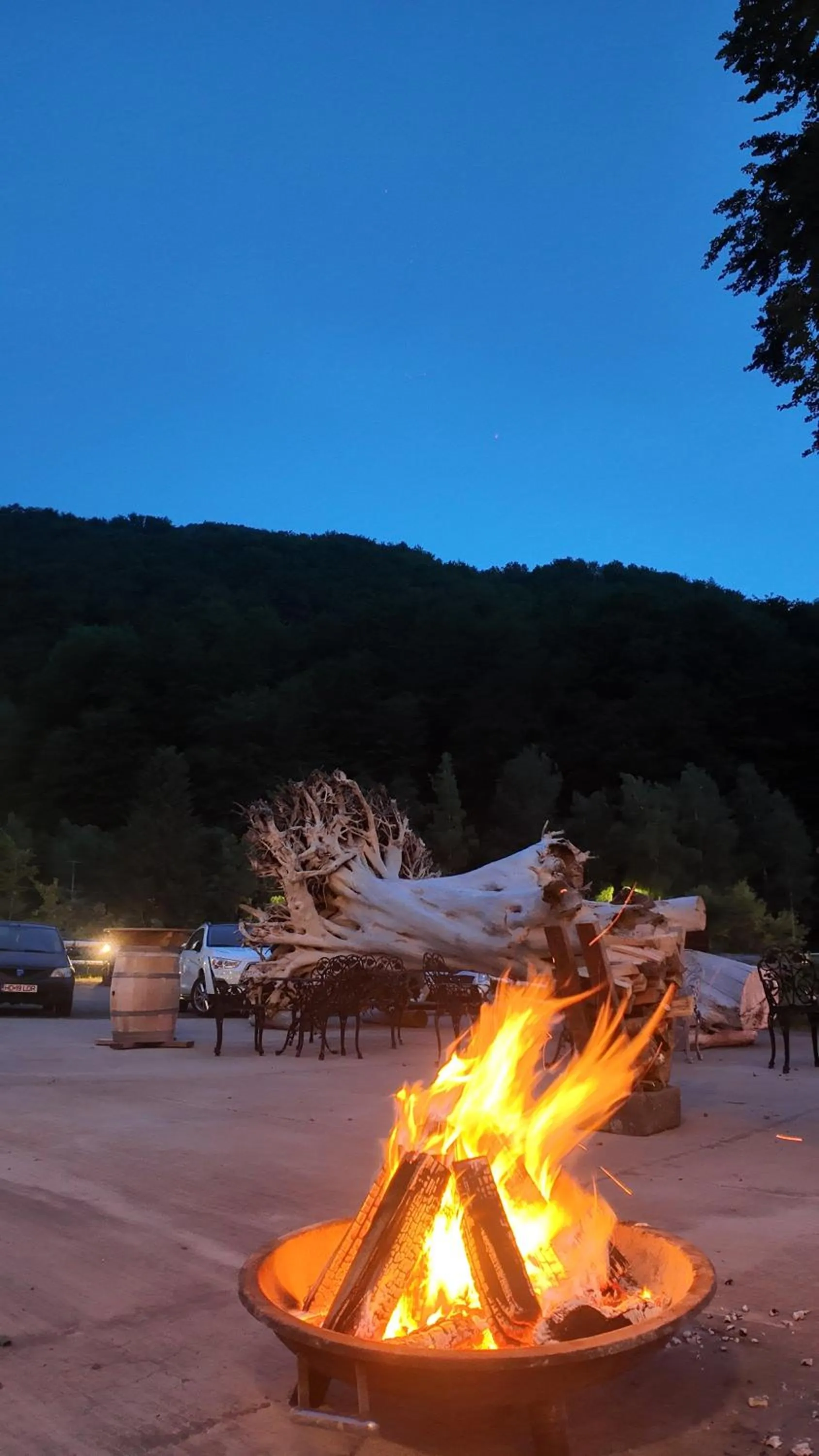 Night in Conacul Radacinilor