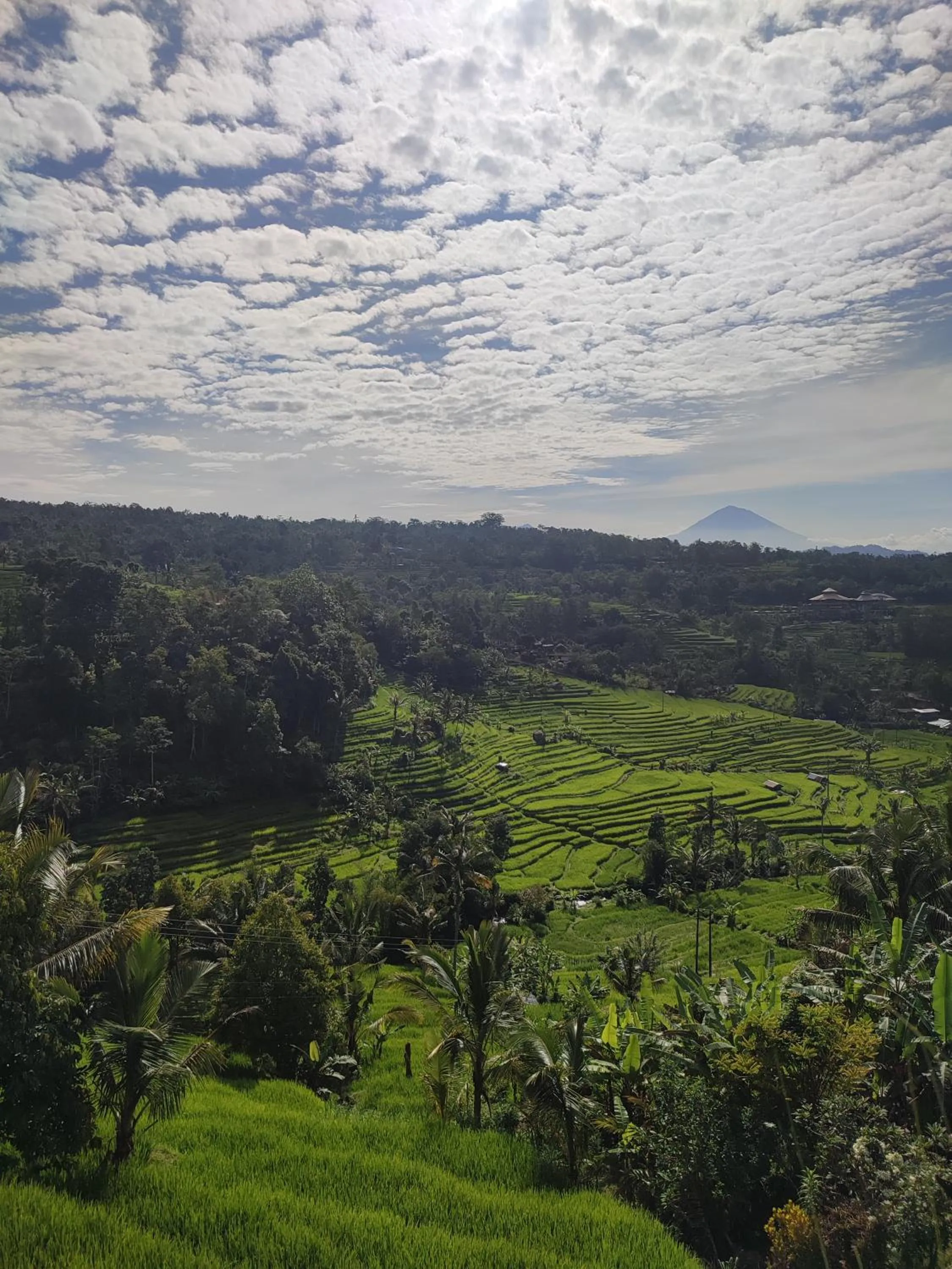 Gunza Bed and Breakfast