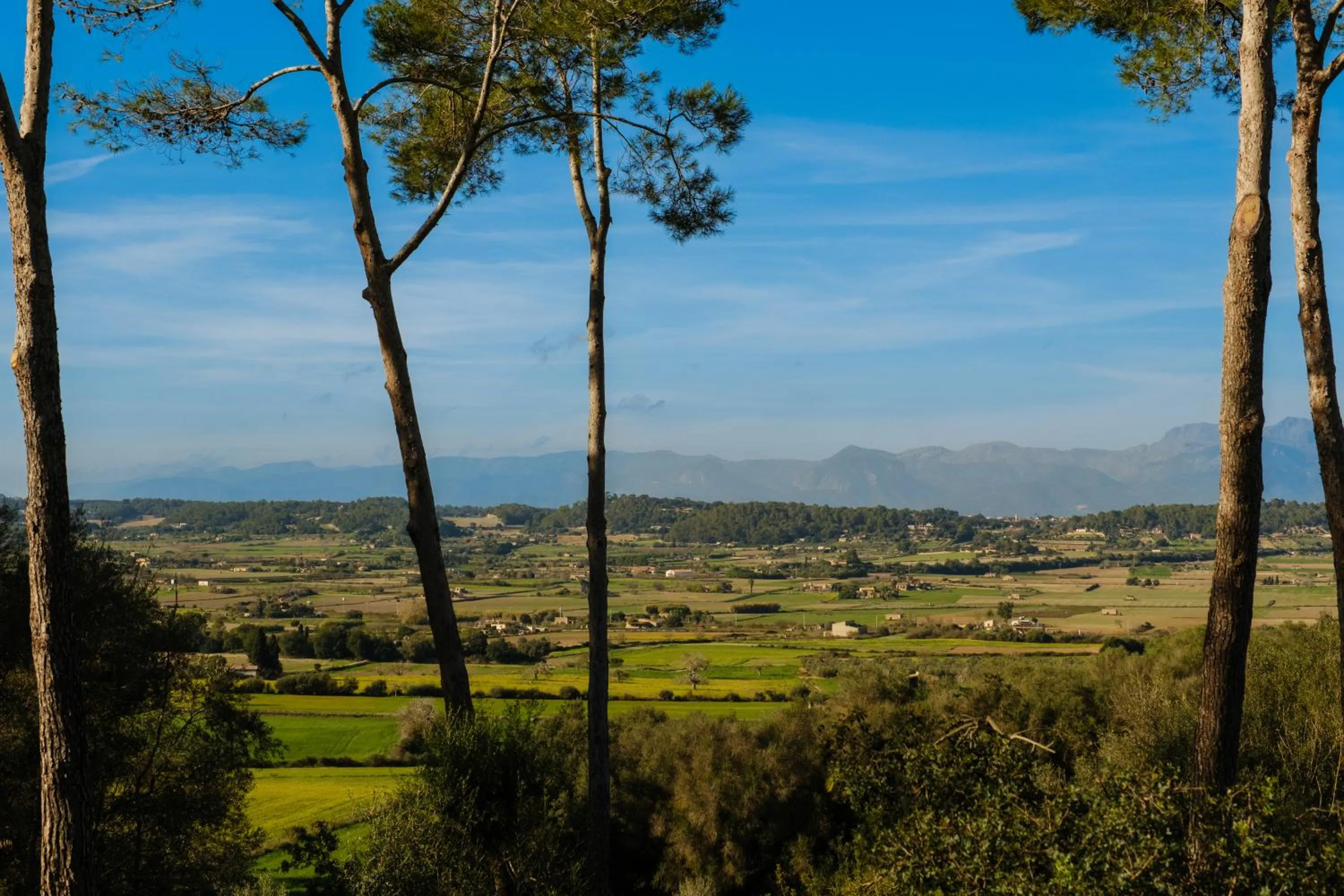 Nearby landmark in Finca Sa Bastida Luxury Retreat & Spa Adults Only - Over 14