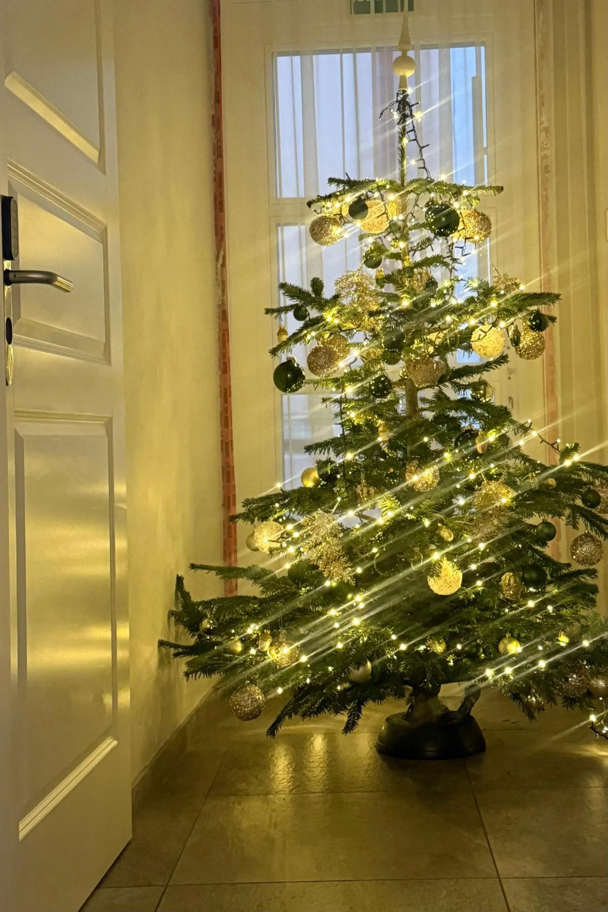 Decorative detail in GRAND CROWN