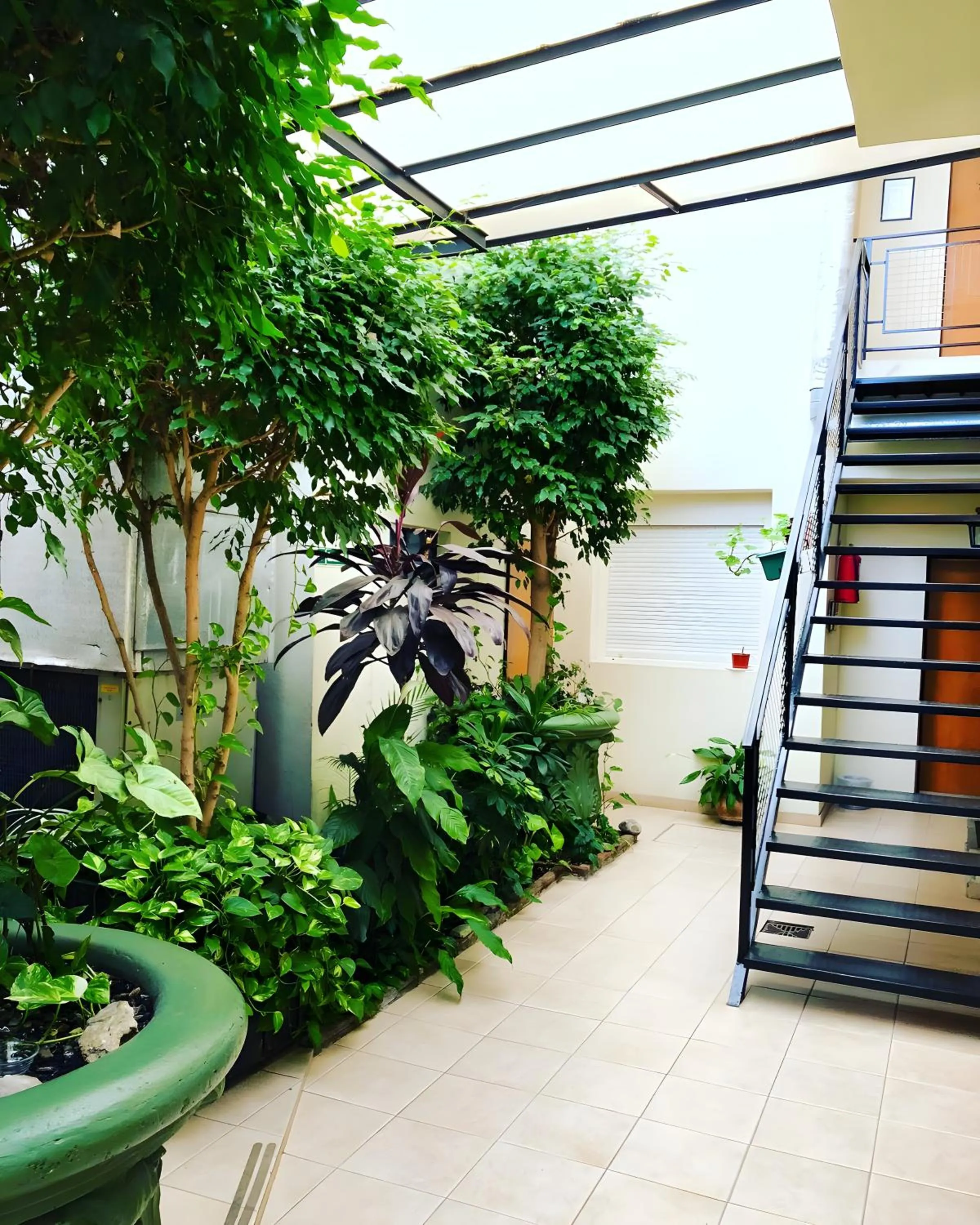 Garden in Hotel Americano