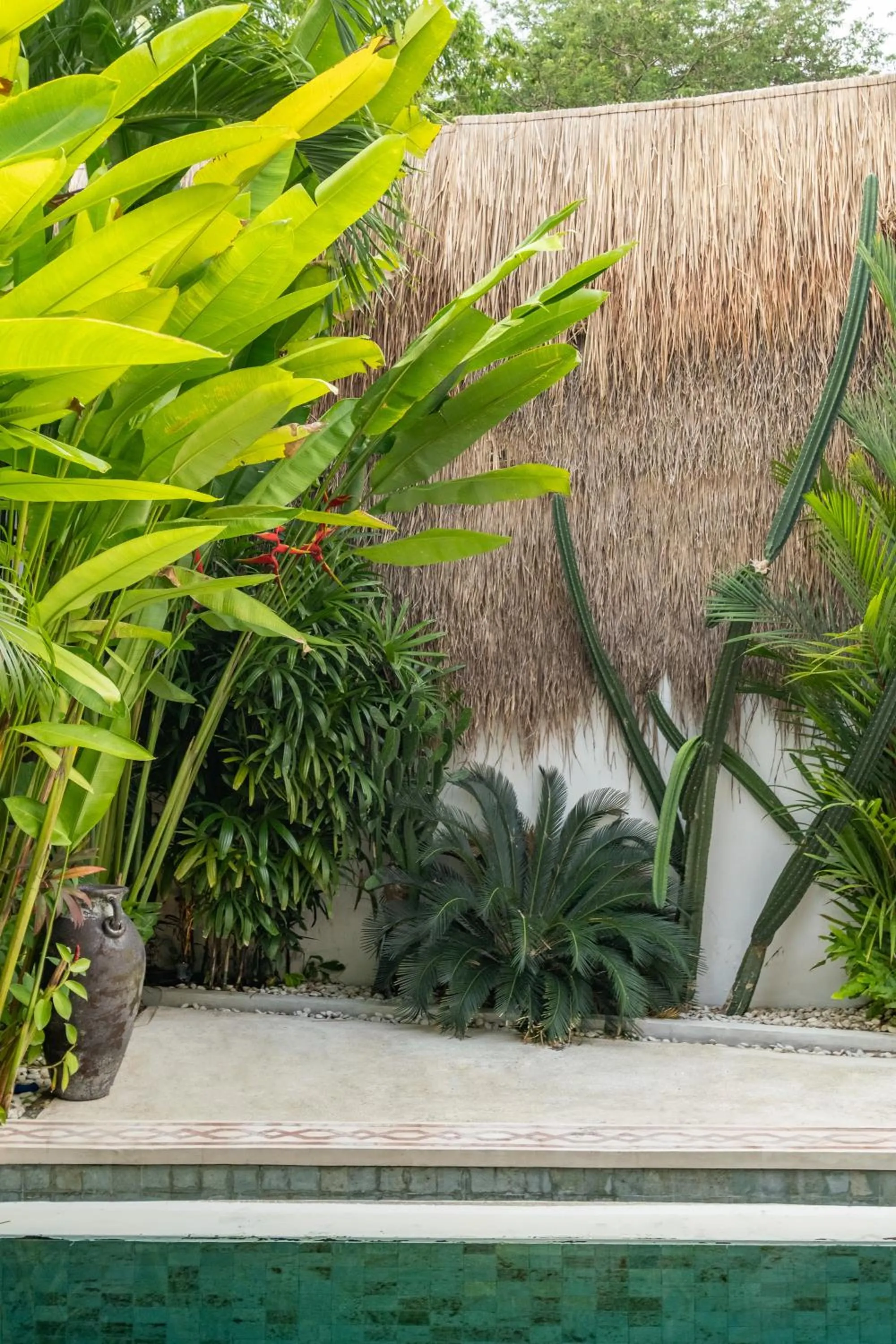 Spring in Villa Akhila Canggu