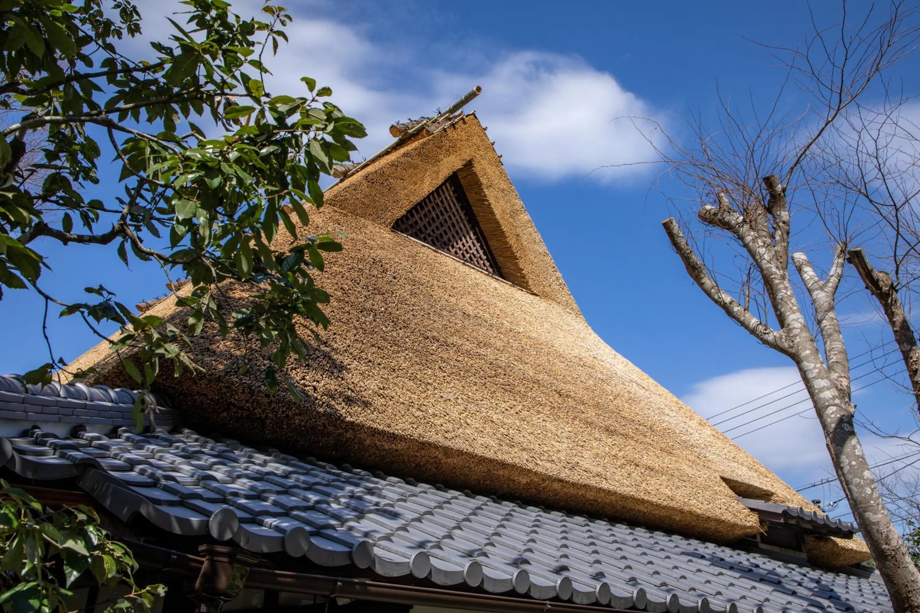 Property building in Hachikan