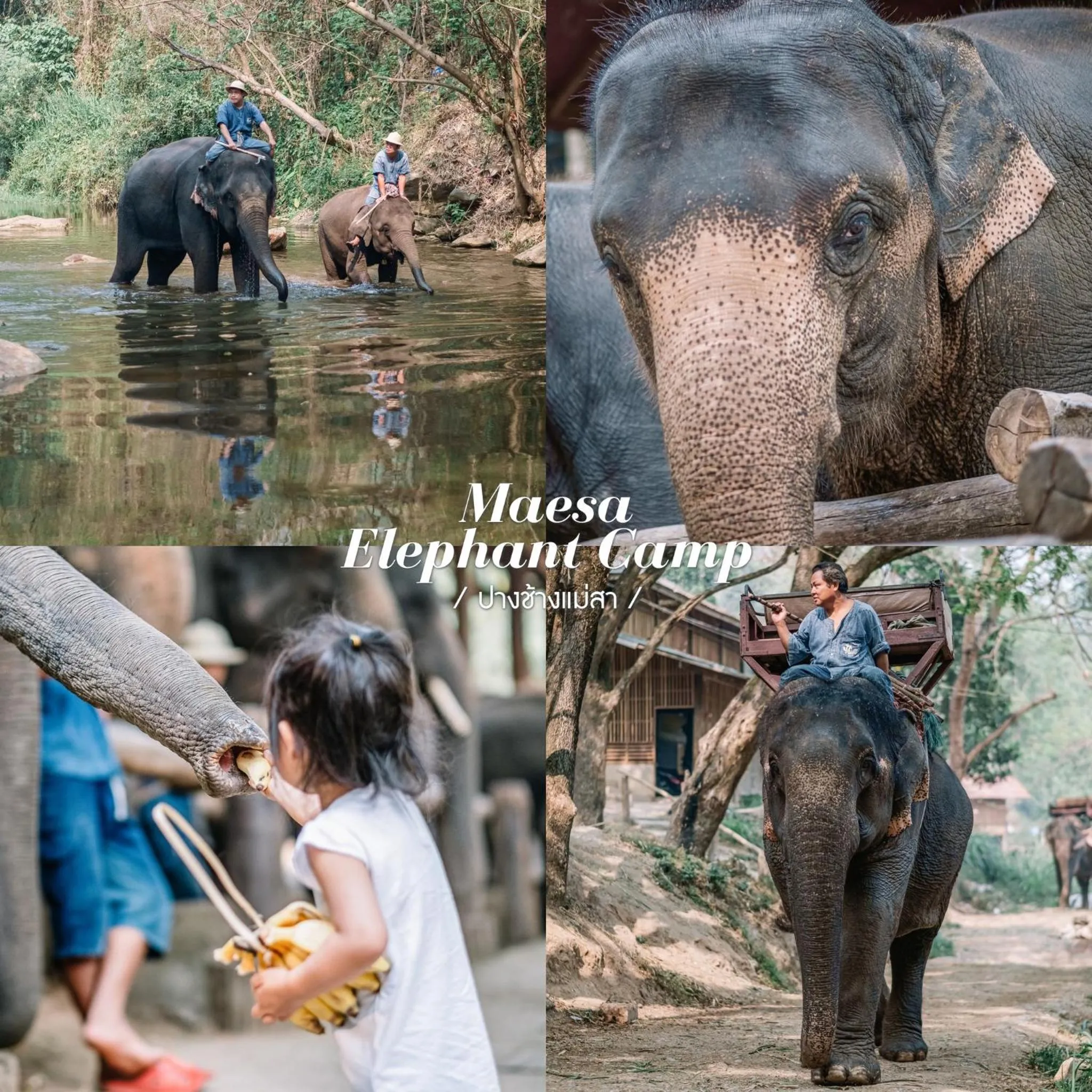 108 Villa @ PongYang