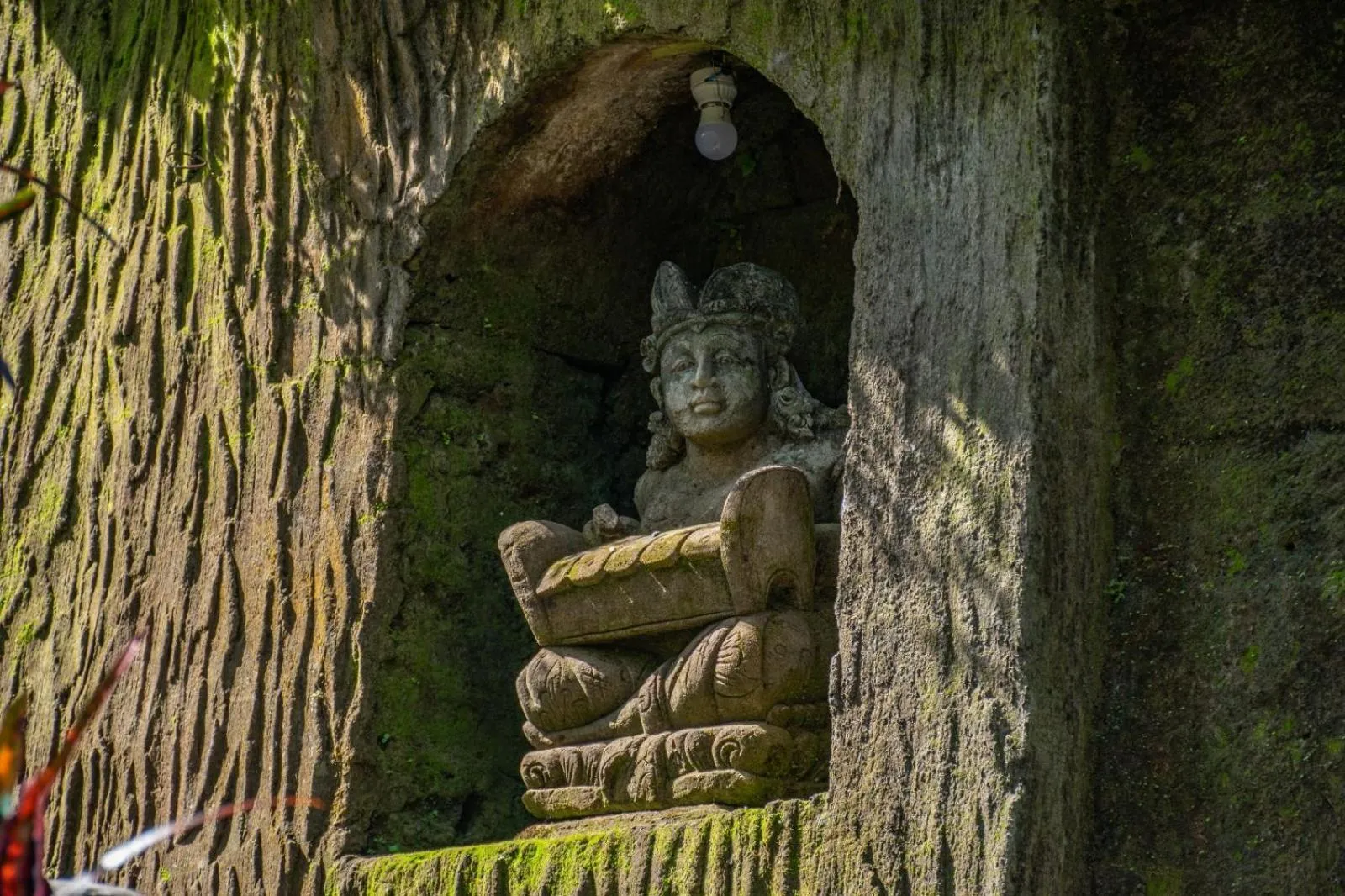 Garden in Down The Rabbit Hole