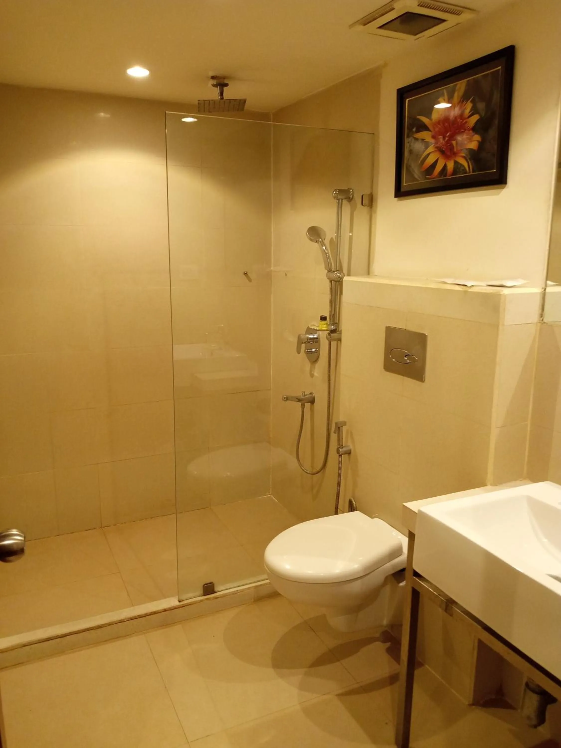 Toilet in Hotel 5 Flowers Ananta Elite