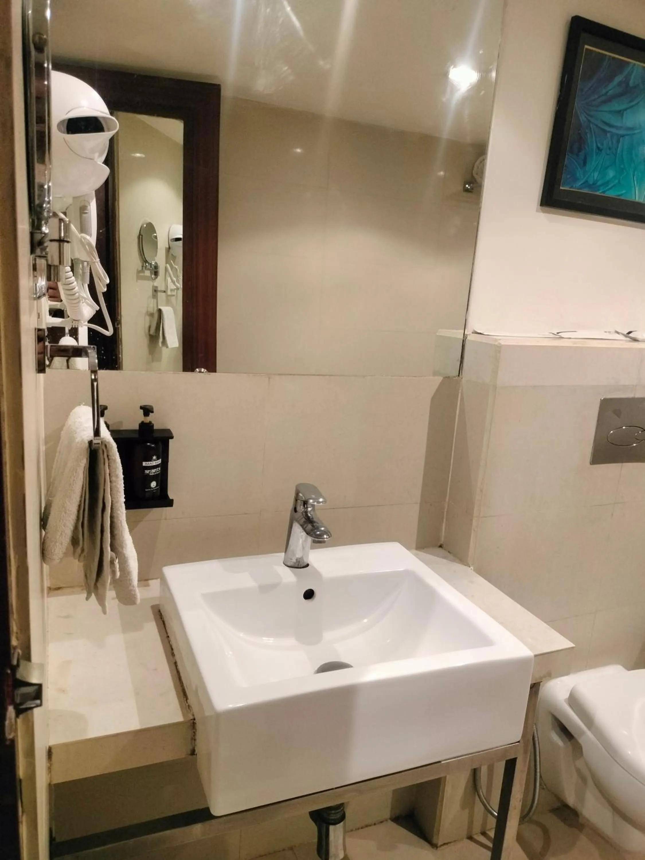 Hotel 5 Flowers Ananta Elite