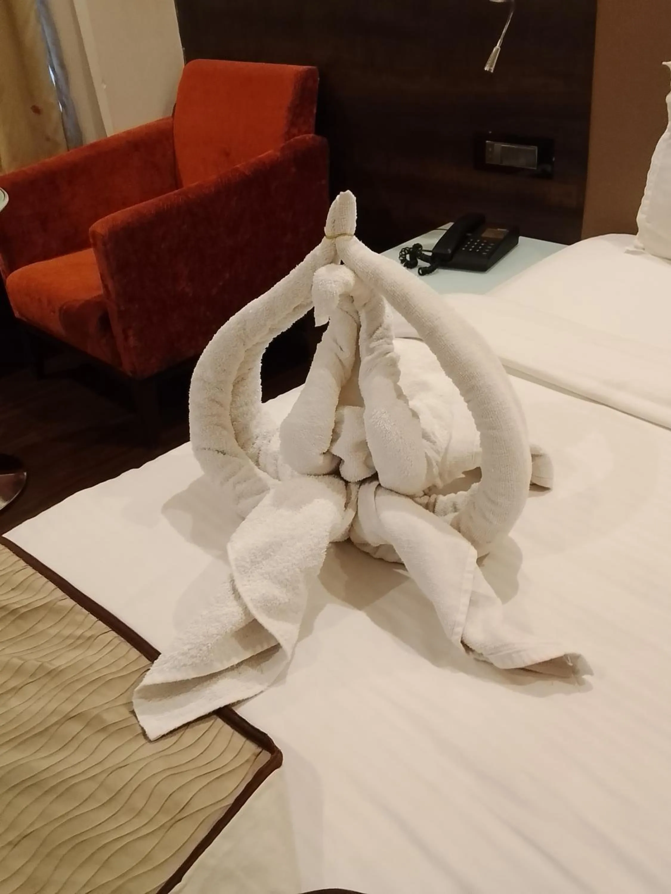 Hotel 5 Flowers Ananta Elite