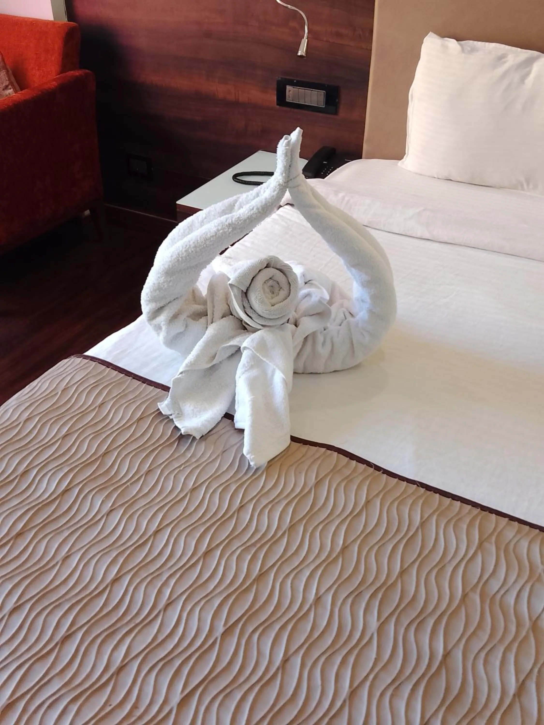 Hotel 5 Flowers Ananta Elite