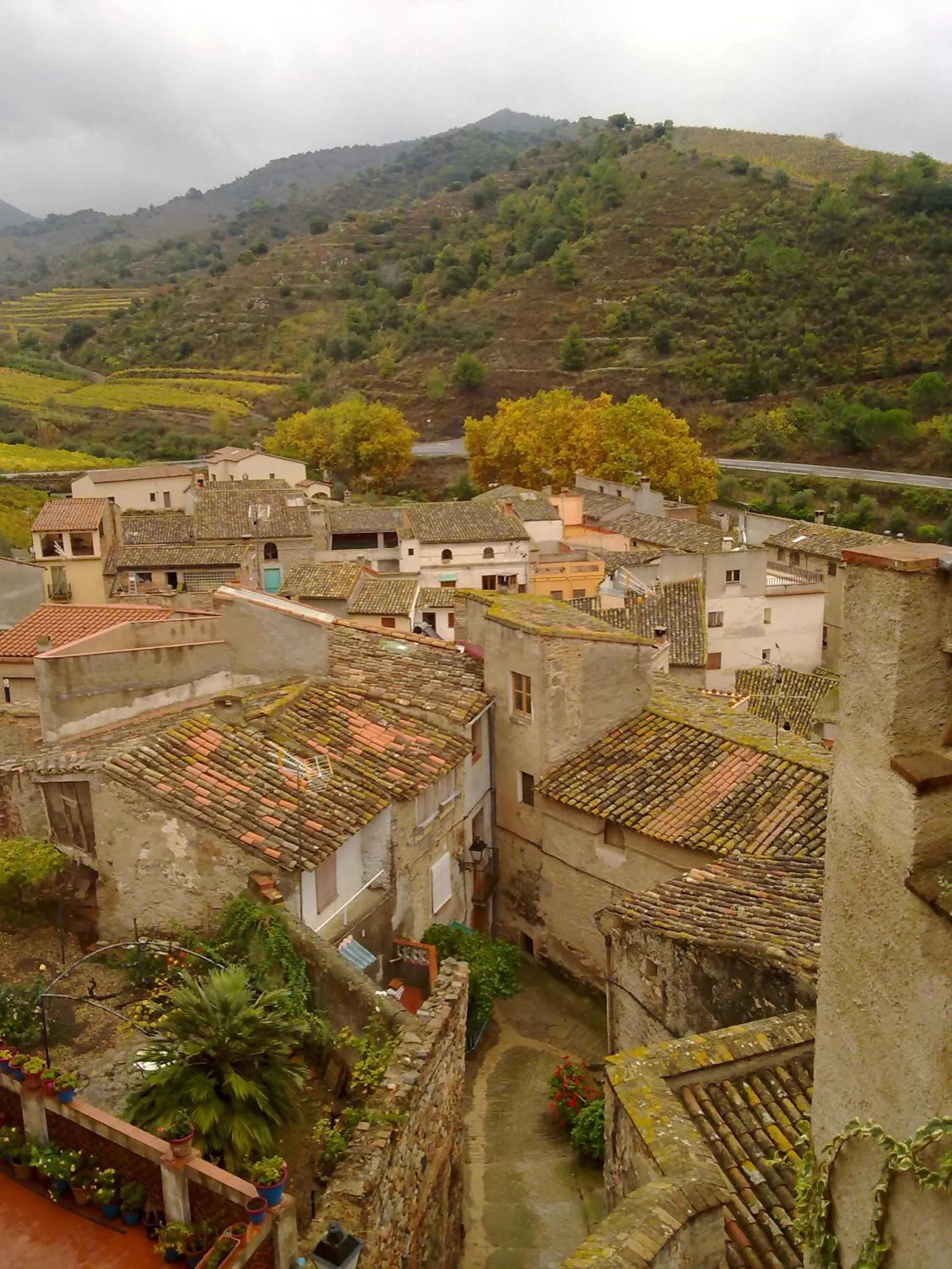 View (from property/room) in Cal Porrerà: Lo Molló