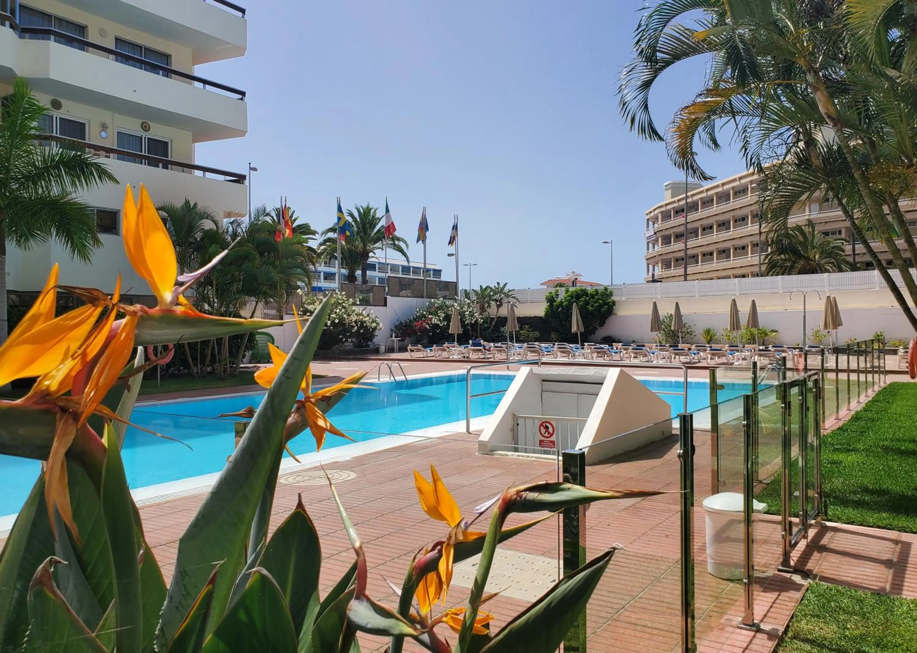 Swimming pool in Las Camelias Apartments