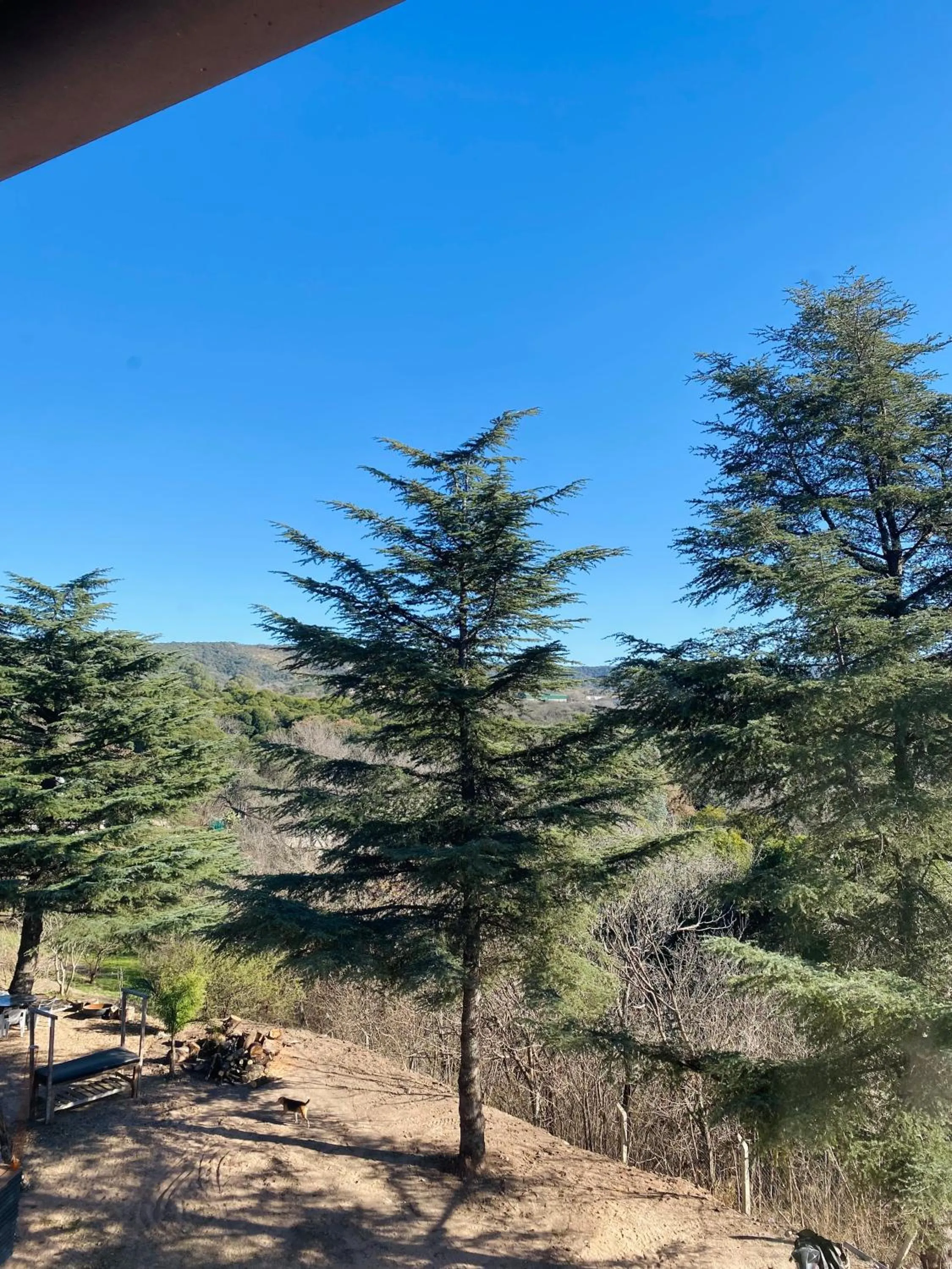 Natural landscape in Carod Espacio Serrano