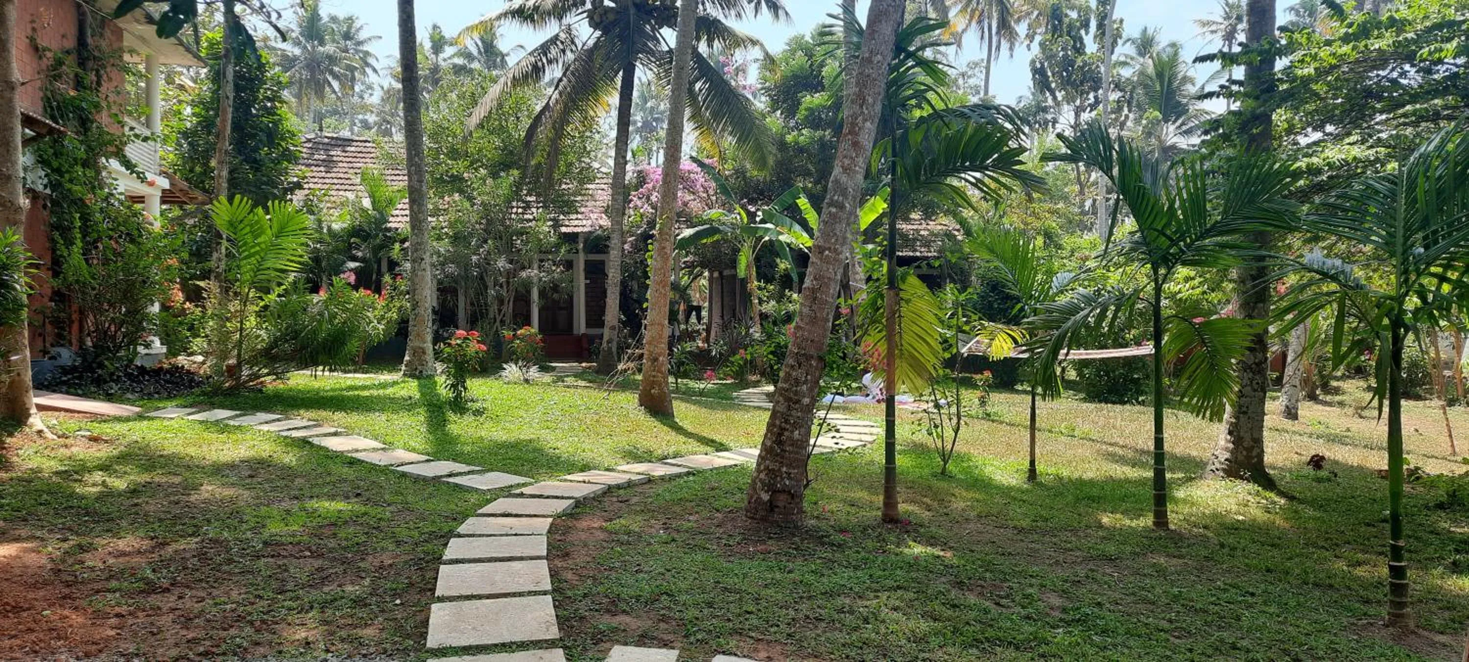 Doctors Ayurveda Heritage