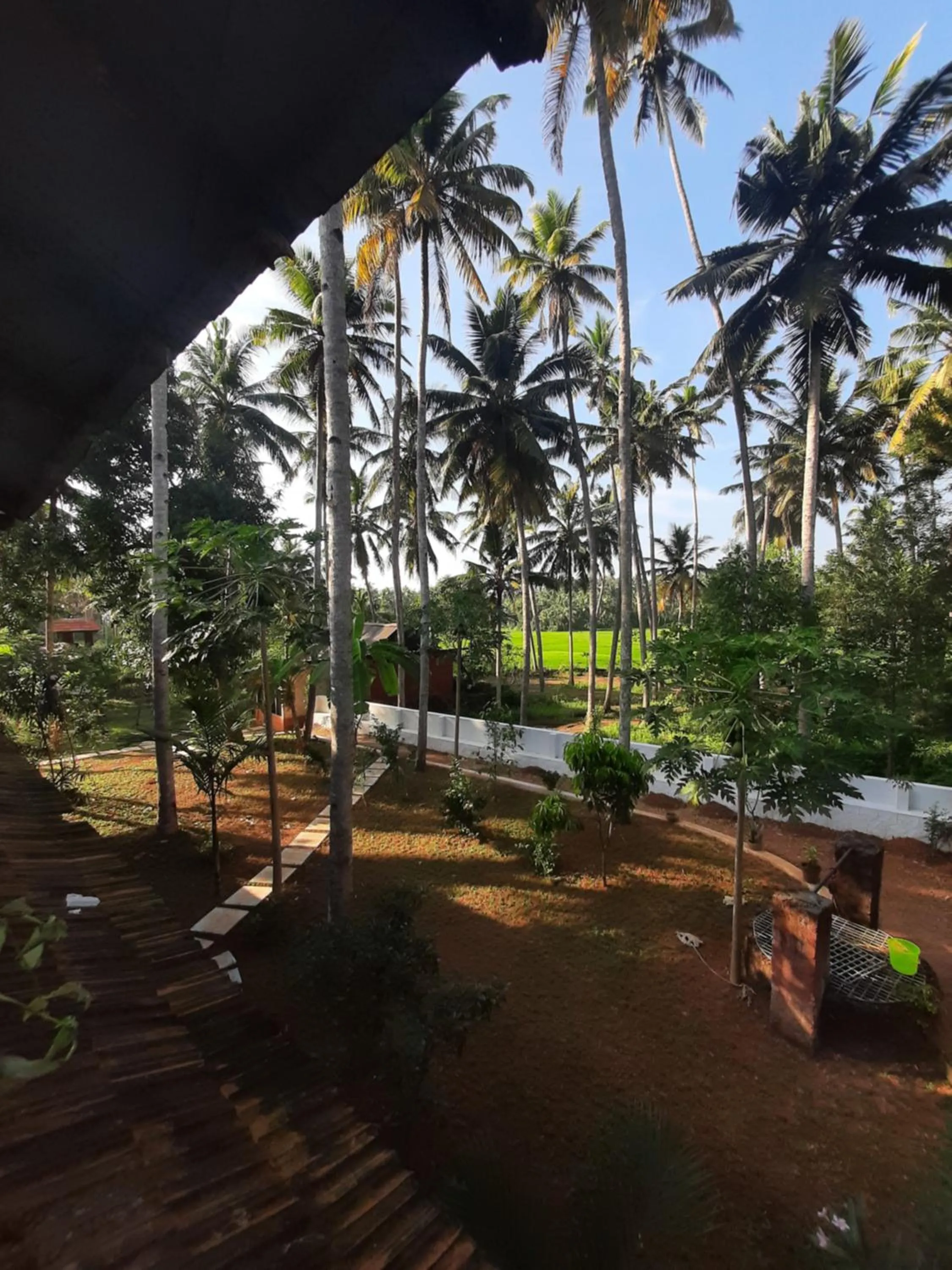 Doctors Ayurveda Heritage