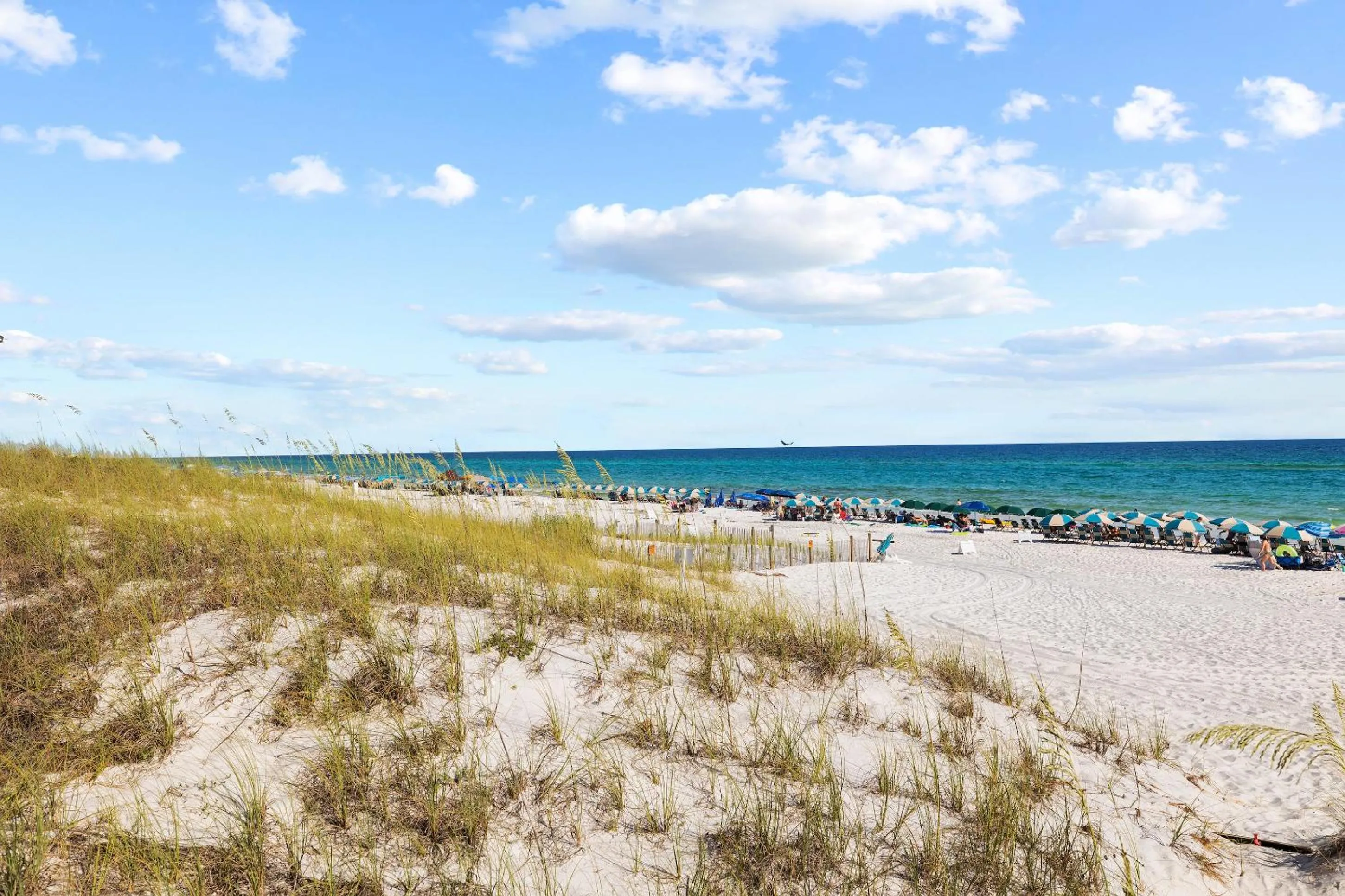 People in 30A Beach House - Coconut Cottage by Panhandle Getaways