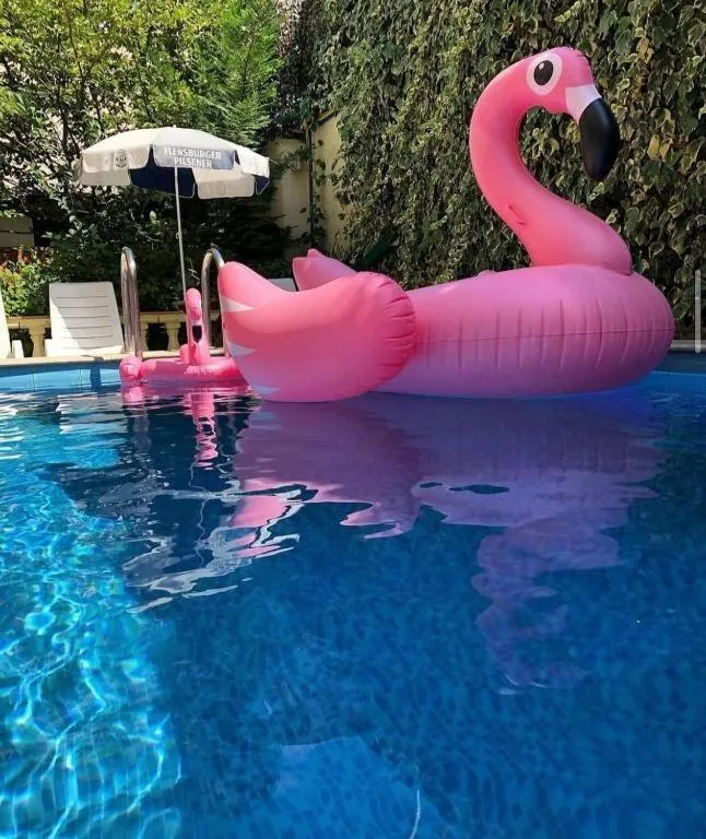 Day in Olimpic Hotel