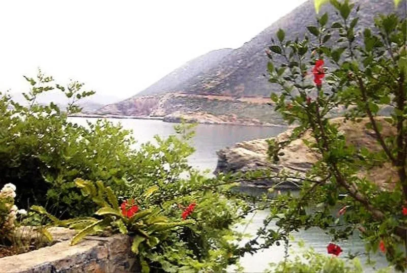 Property building in Bali Beach and Sofia Village