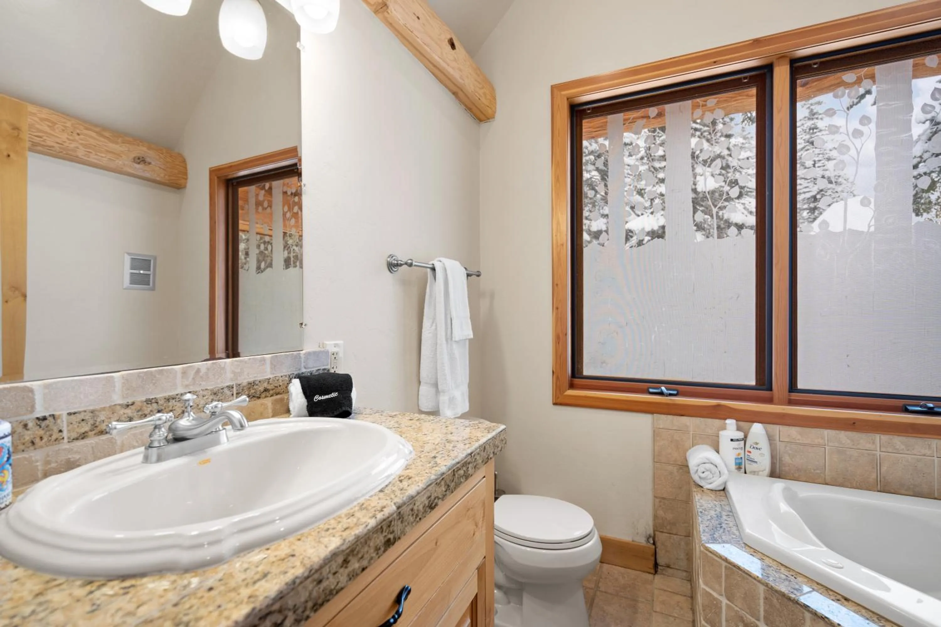 The Grand Alpine Lodge