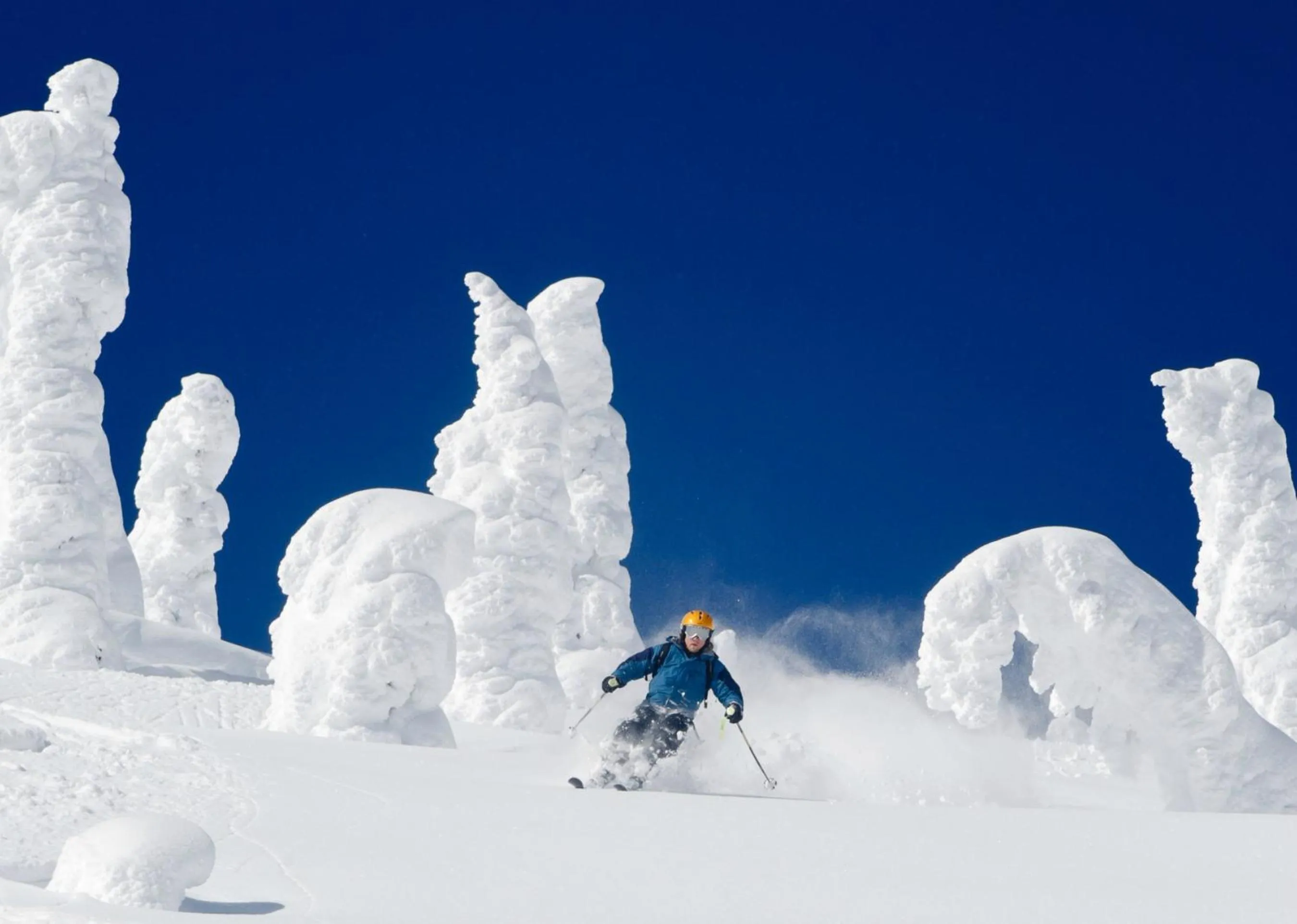 The Grand Alpine Lodge