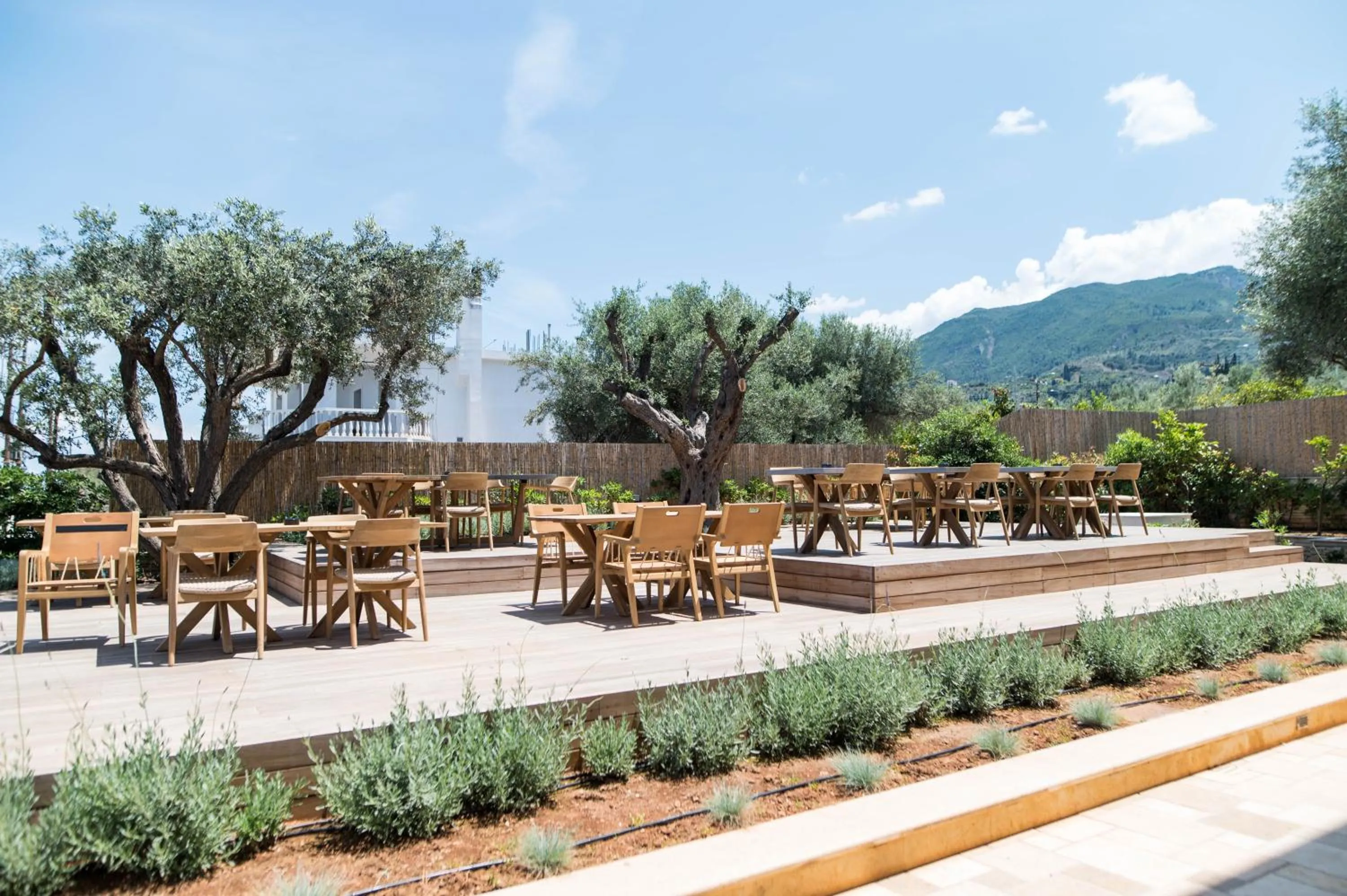 Restaurant/places to eat in Alissachni SeaSide Hotel