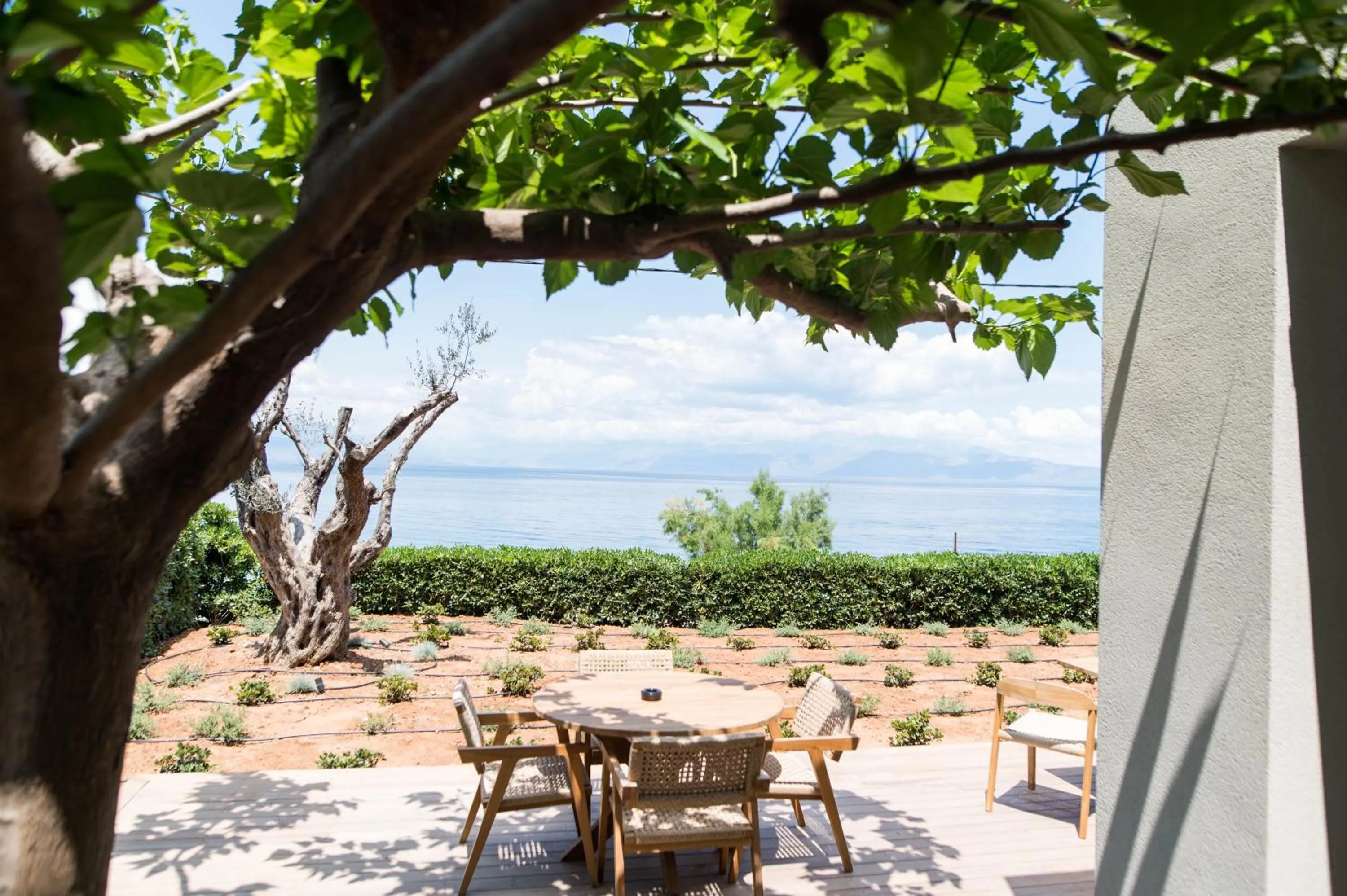 Restaurant/places to eat in Alissachni SeaSide Hotel