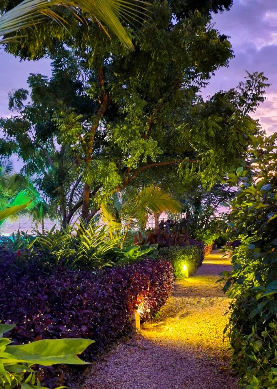 Garden in Kidoti Bay