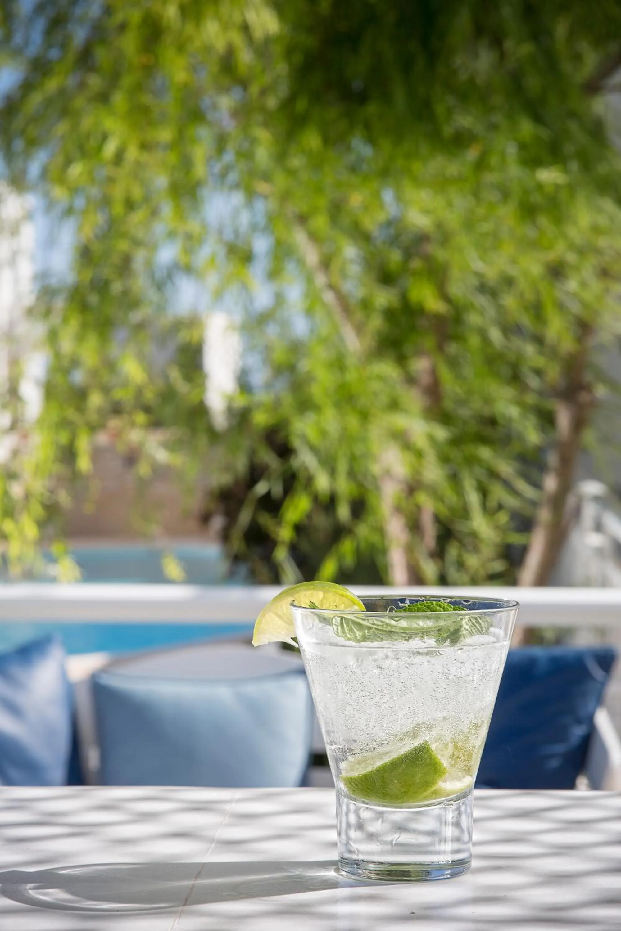 Garden in Lagos Mare Hotel