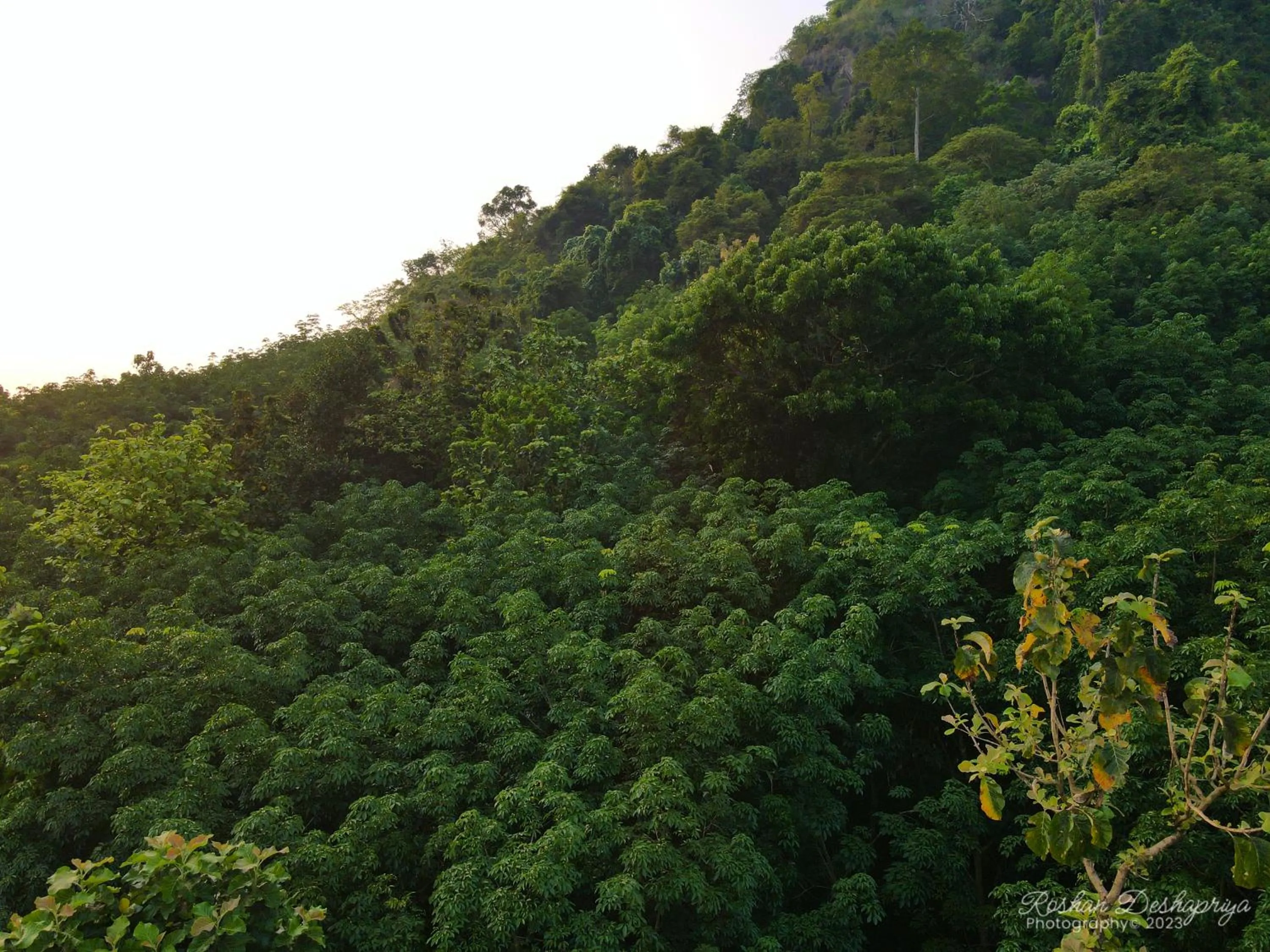Lake view in Kakulanda Resort