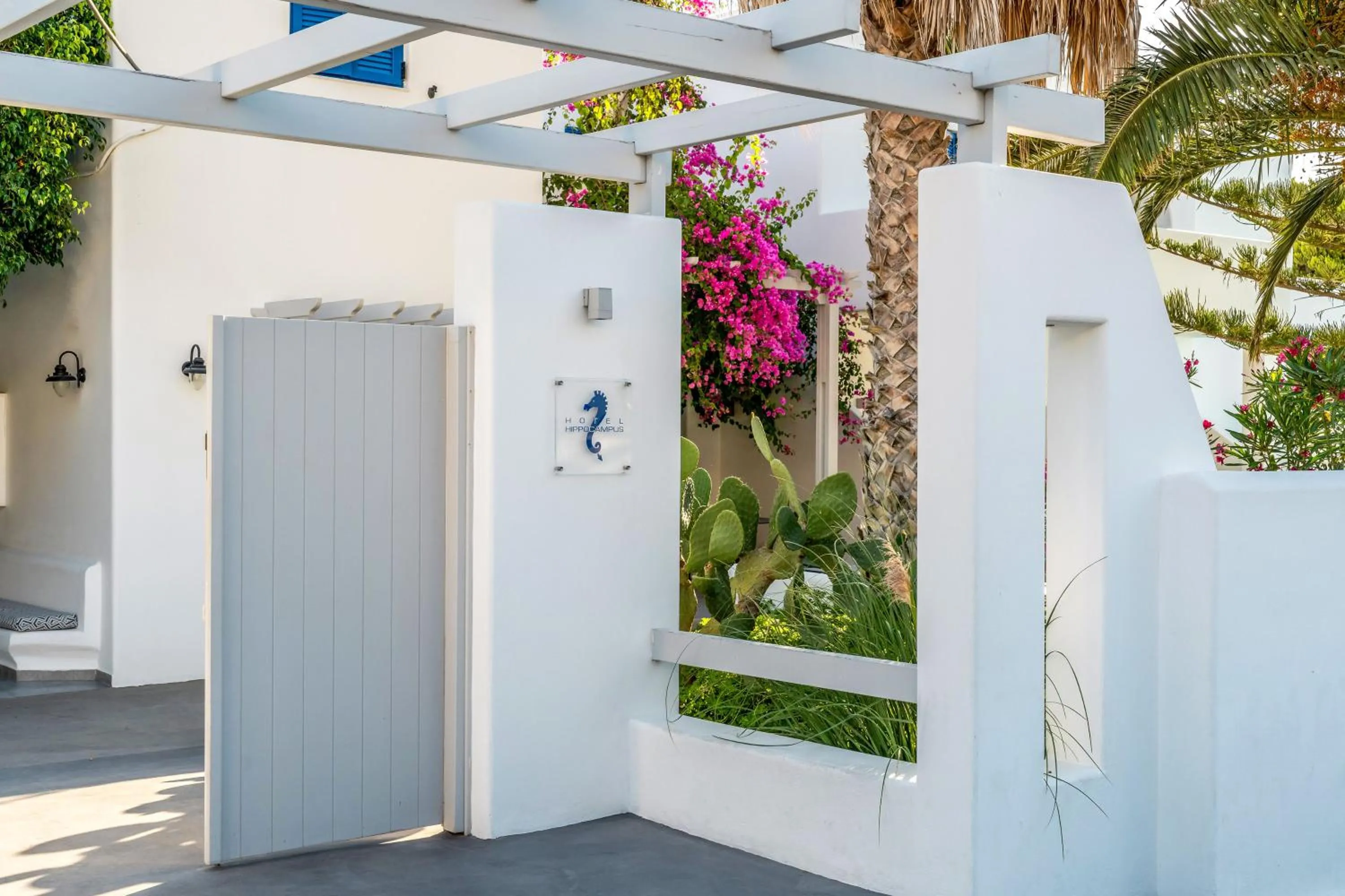 Hippocampus Hotel