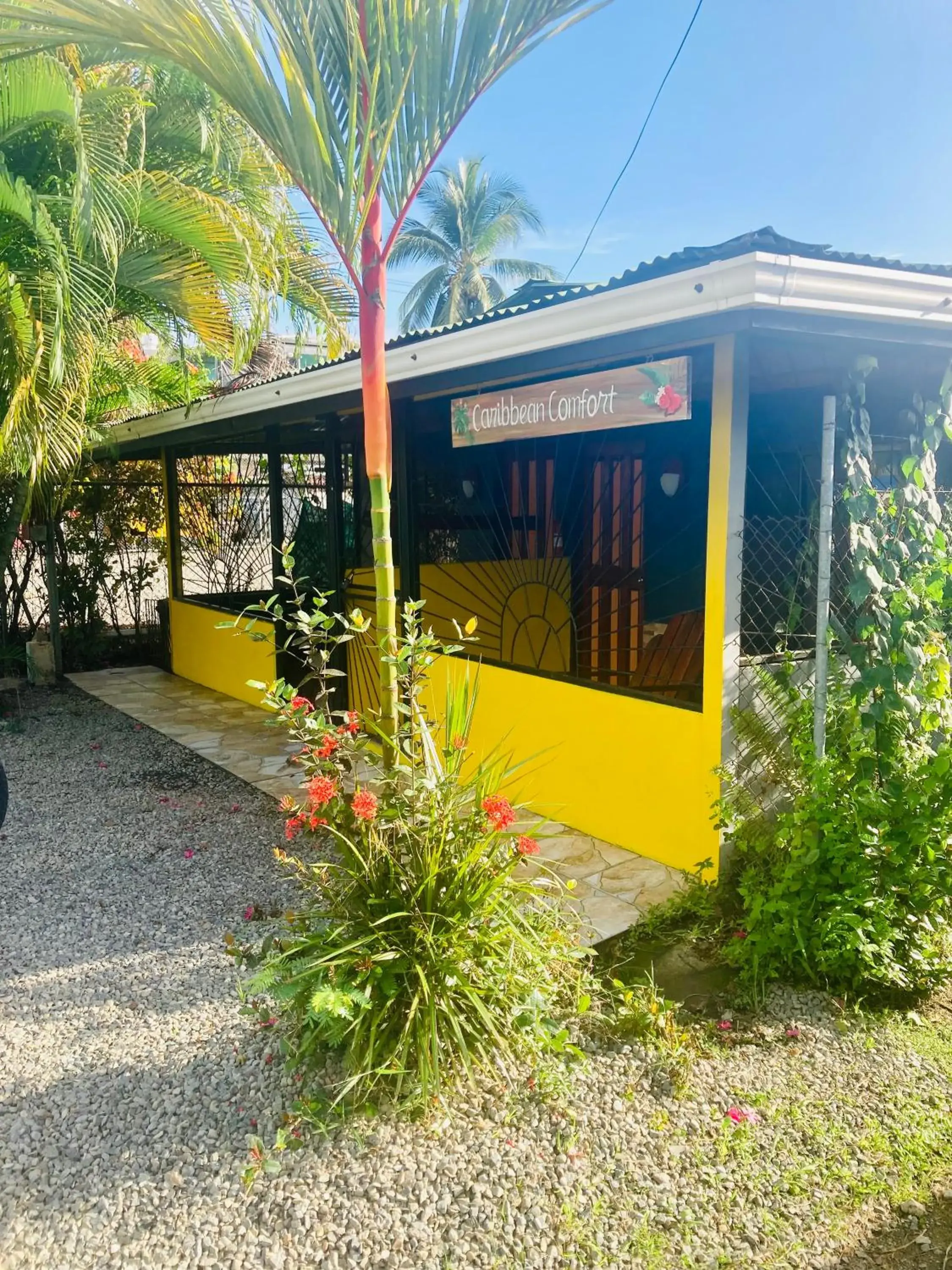 Caribbean Comfort Caribbean Comfort