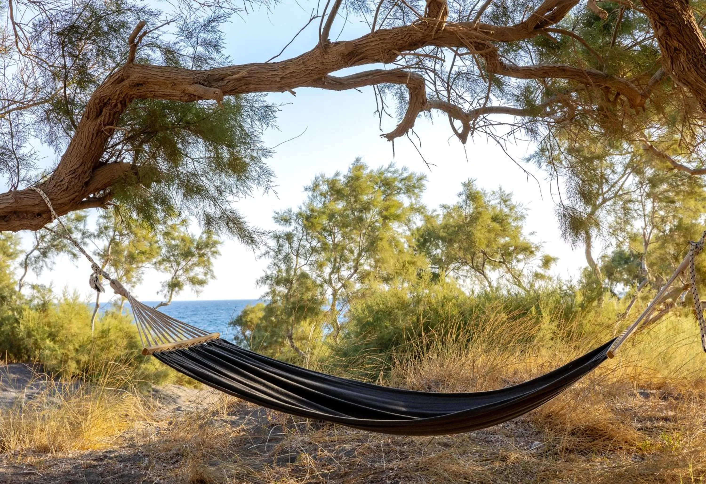 Natural landscape in Scorpios Beach Santorini