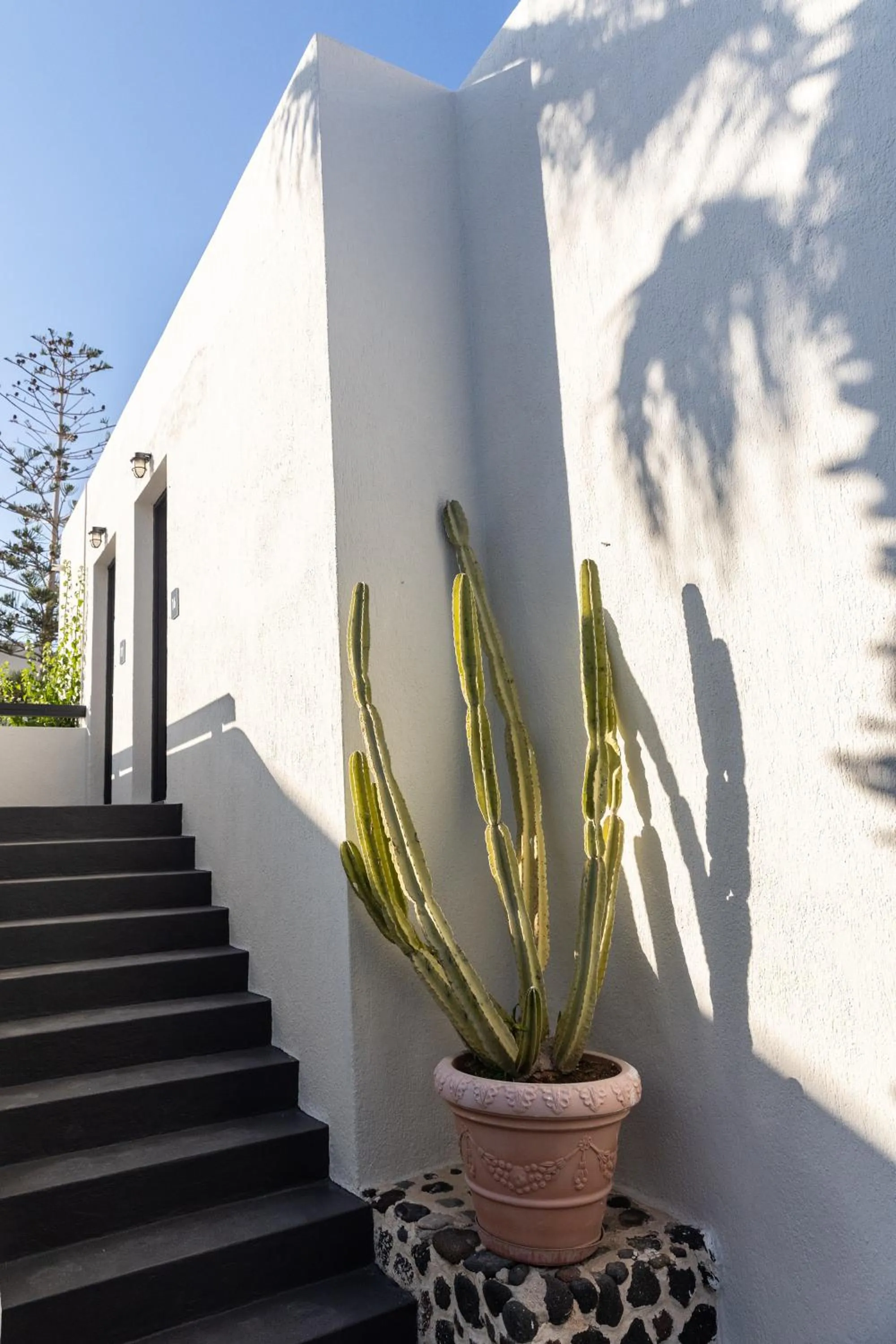 Day in Scorpios Beach Santorini