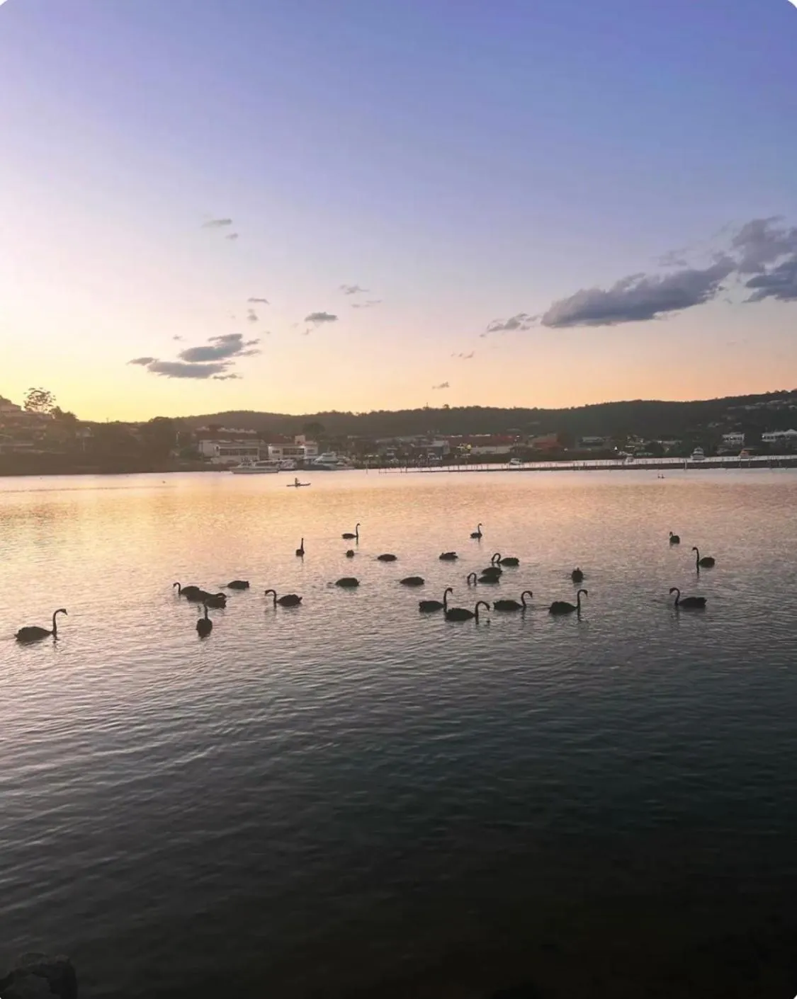 Nautilus Hamptons Style Luxury Beach Apartment Merimbula