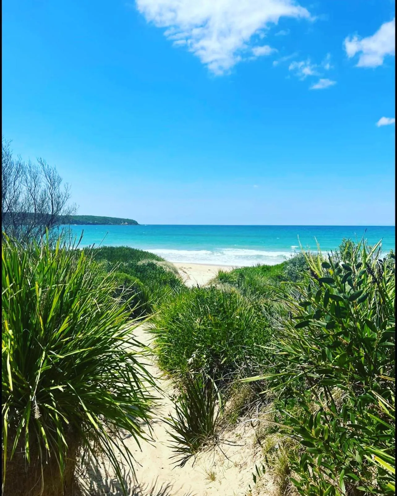 Nautilus Hamptons Style Luxury Beach Apartment Merimbula