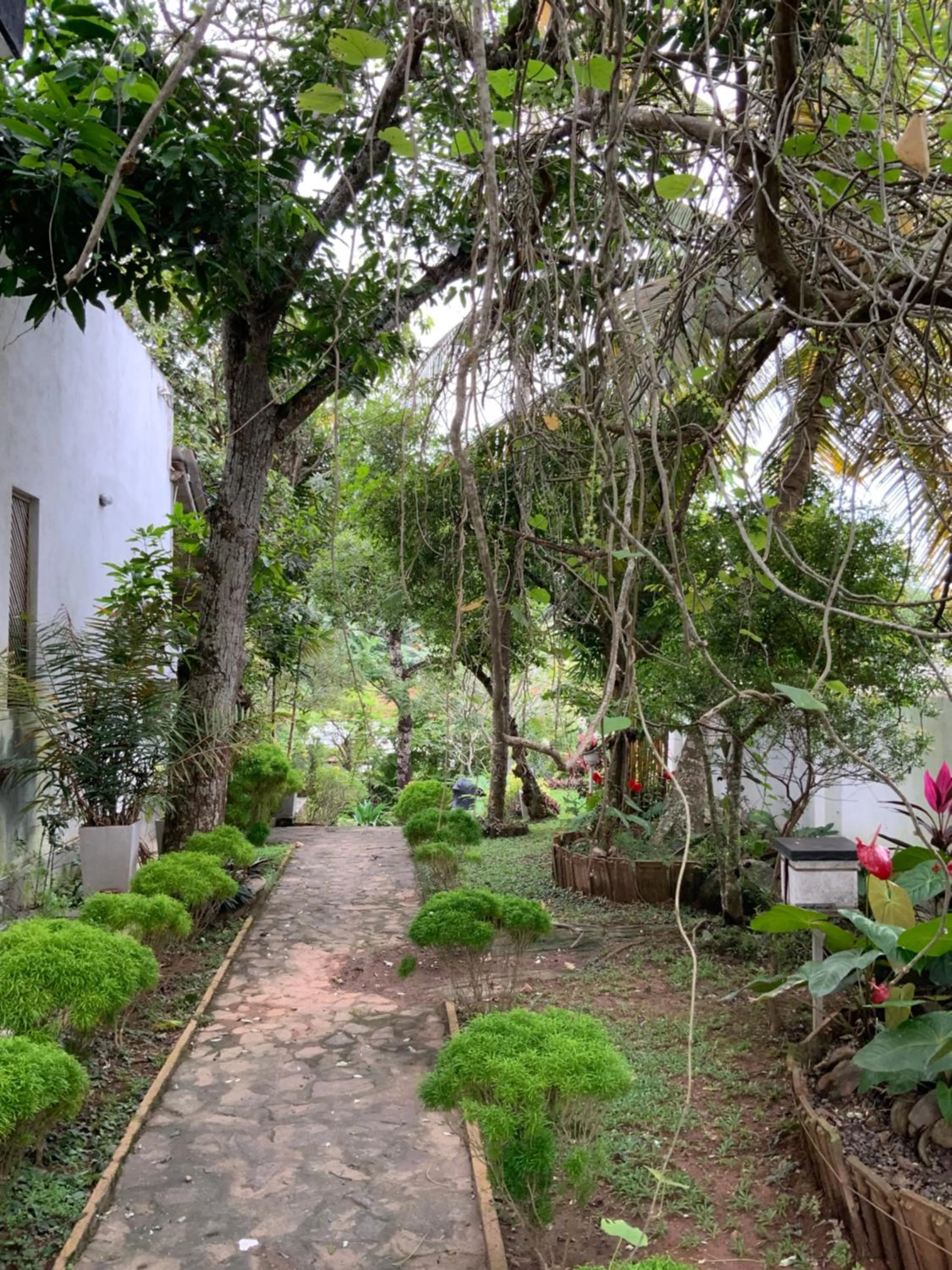 Day in Lali Villa & Fruit Garden